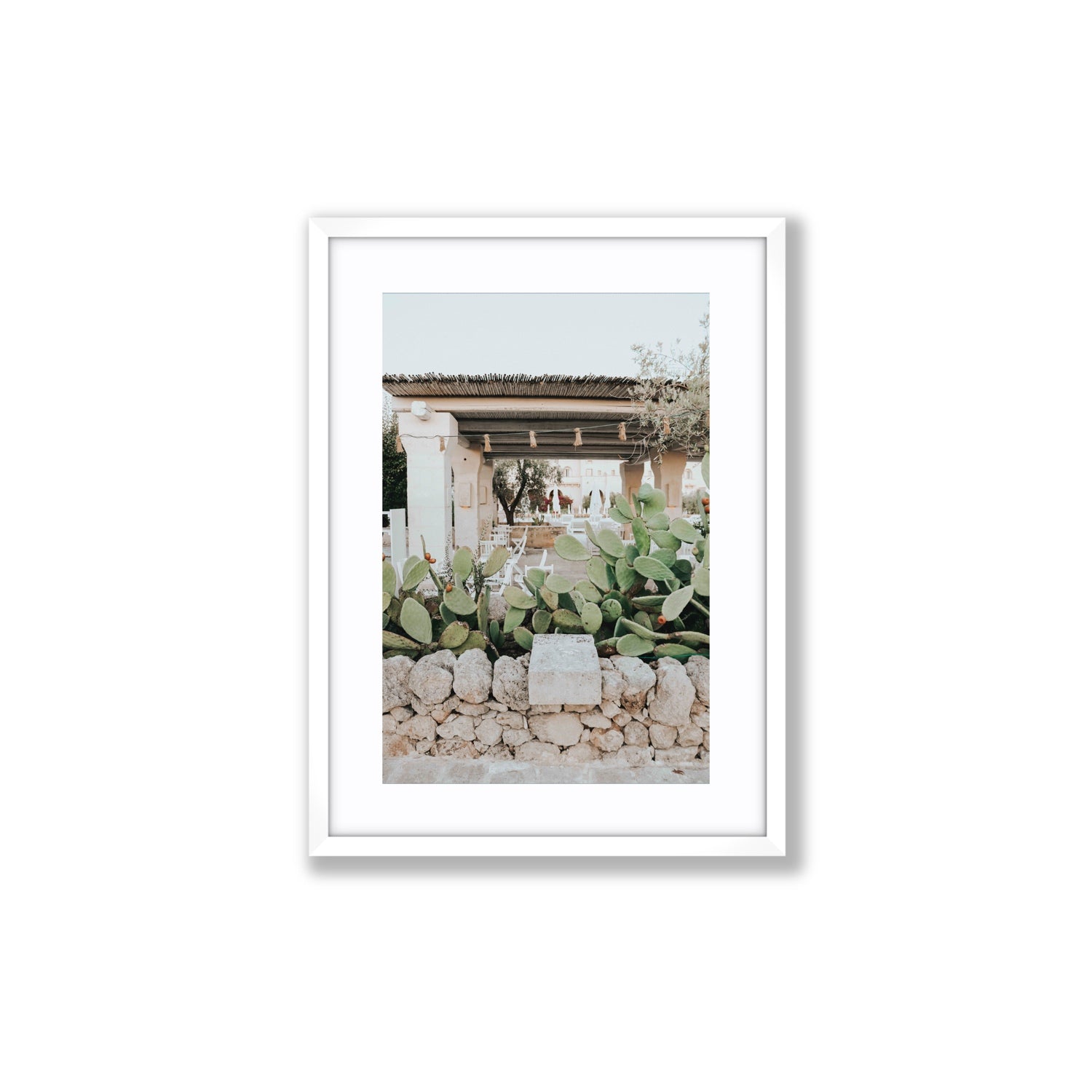 Puglia Flora Puglia Borgo Egnazia Mediterranean wall art Medium fine art print in white frame with matboard