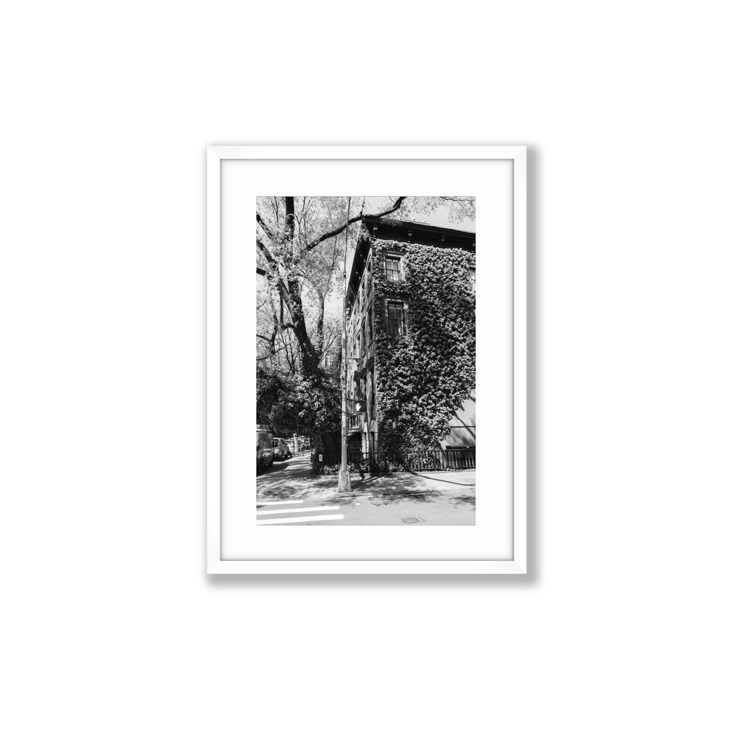 Vertical Garden New York NYC Black & White wall art Medium fine art print in white frame with matboard