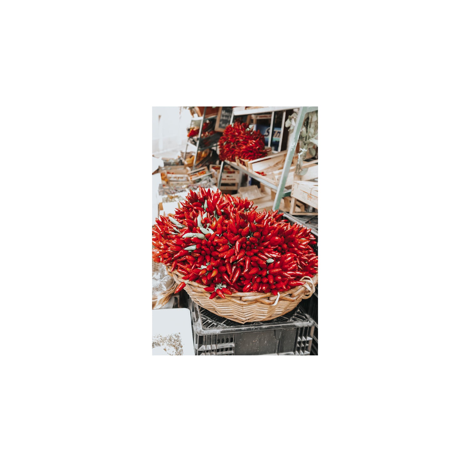 Spicy Bunch