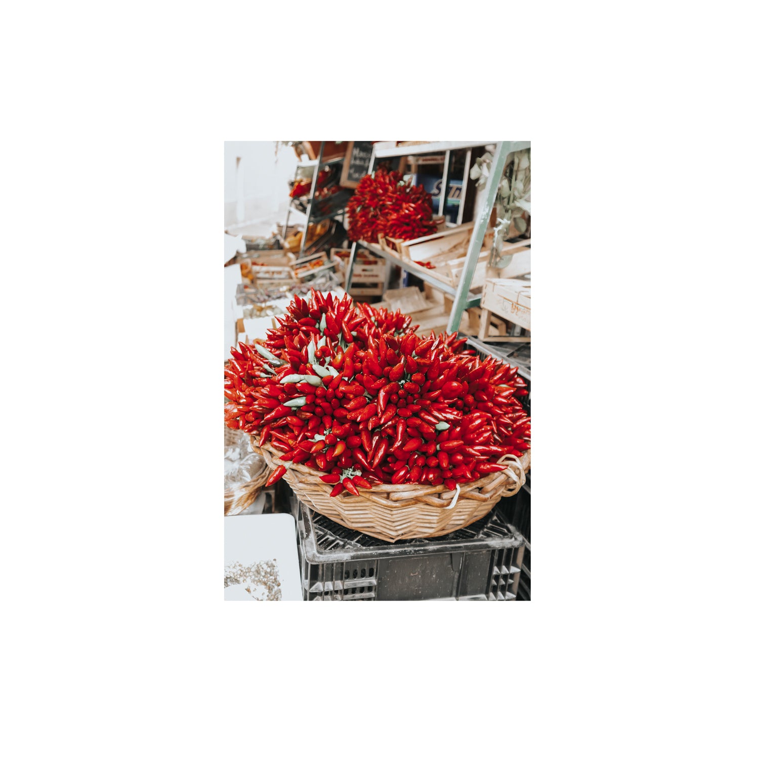 Spicy Bunch