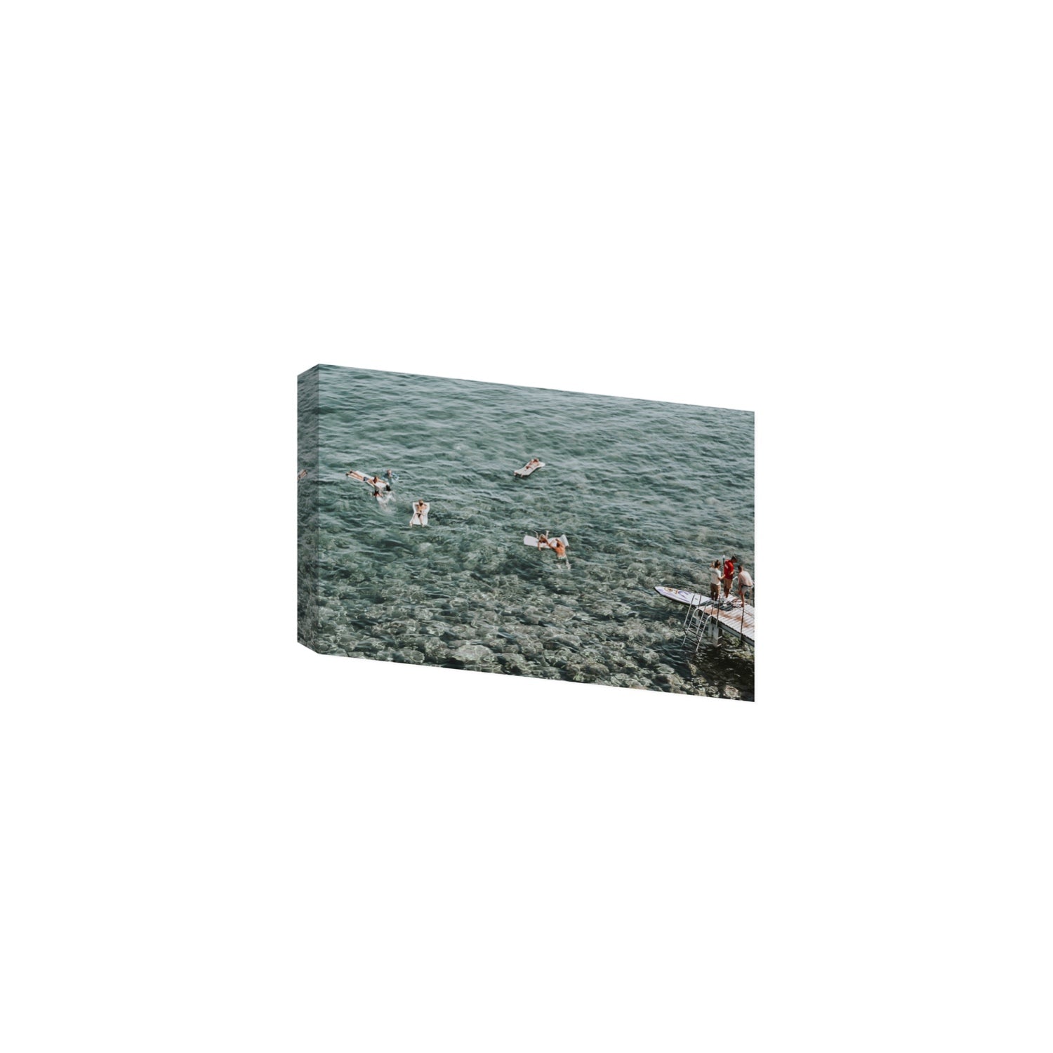 Having A Whale Of A Time Tuscany coastal wall art Medium stretched canvas print
