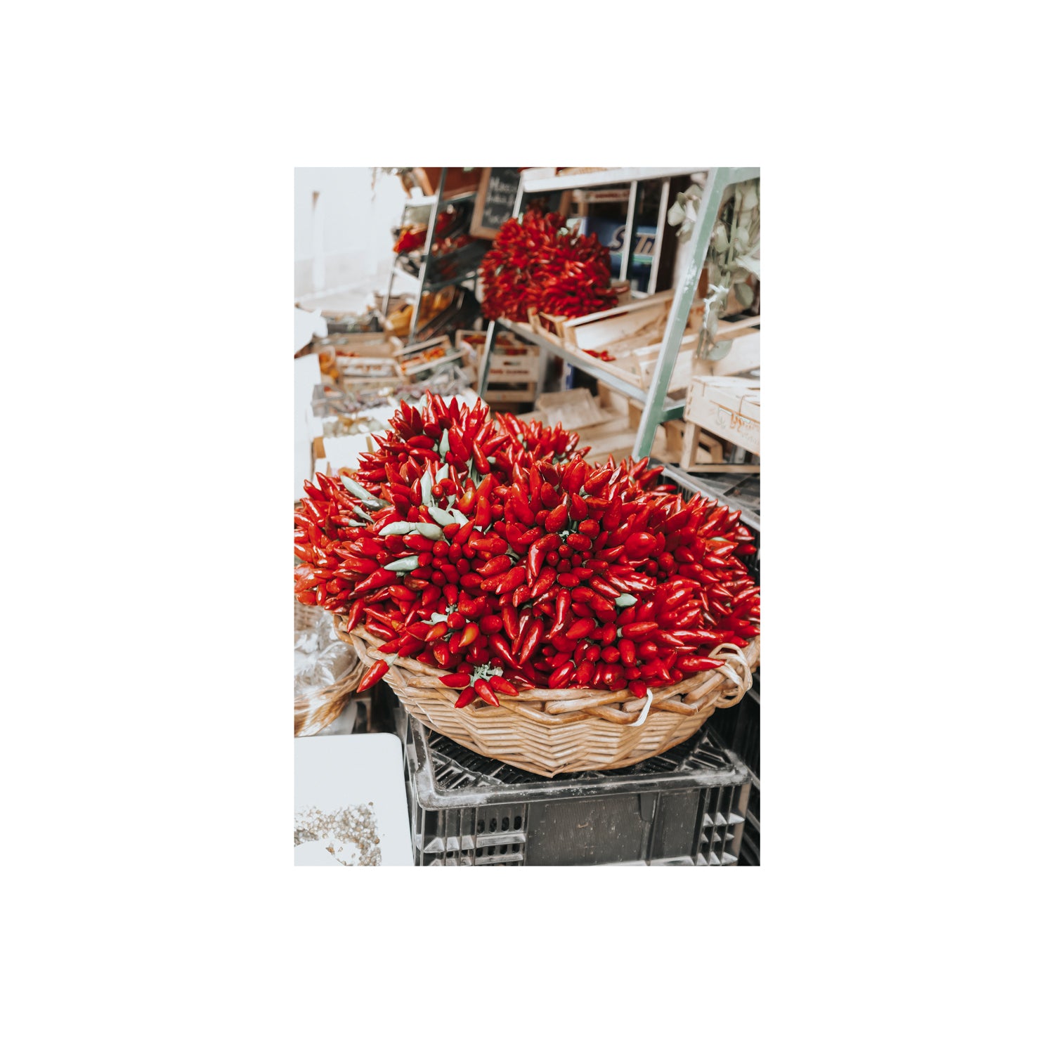 Spicy Bunch