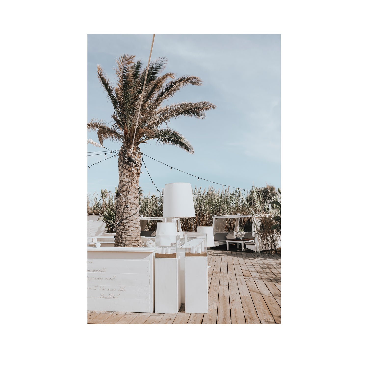 Seabreeze Palm