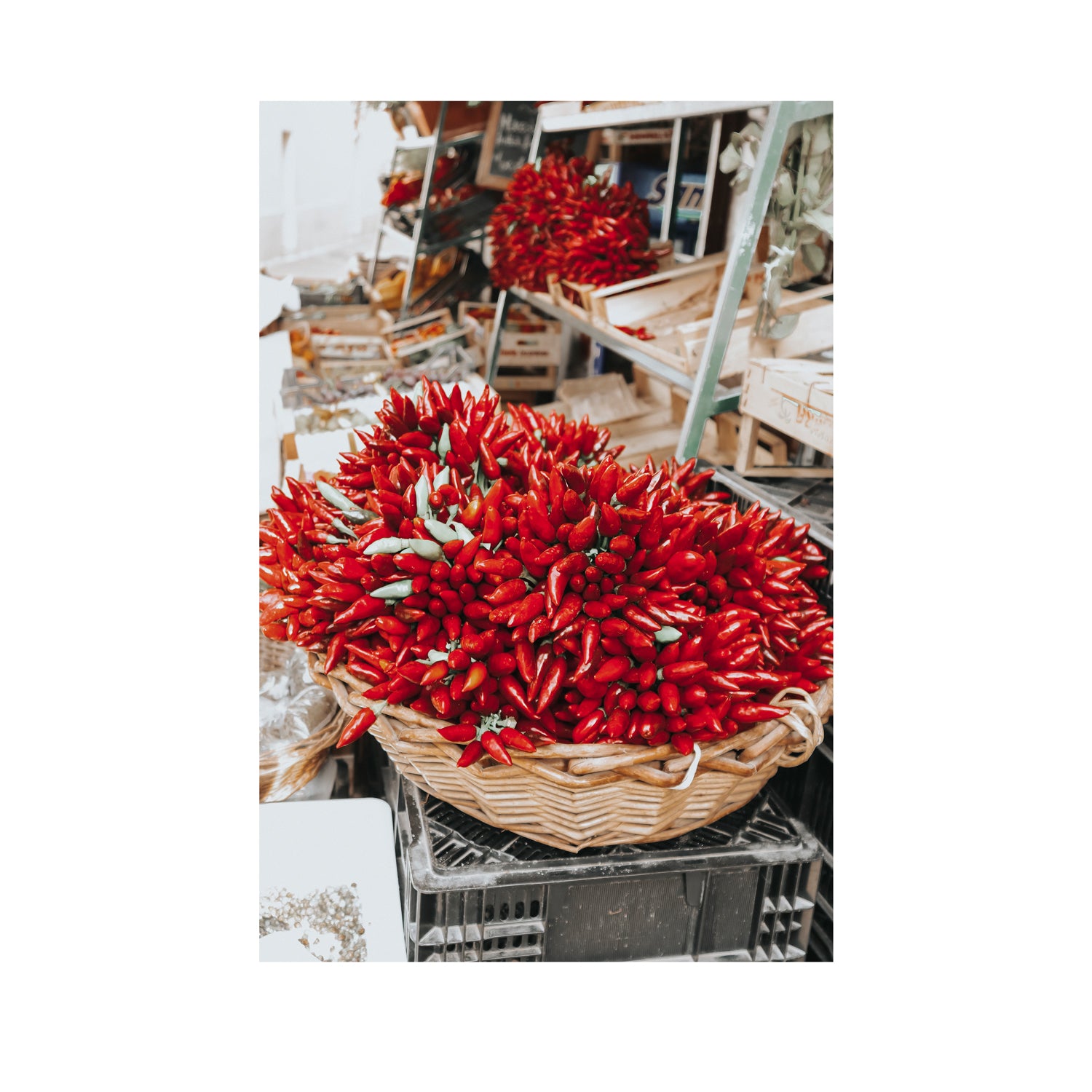 Spicy Bunch