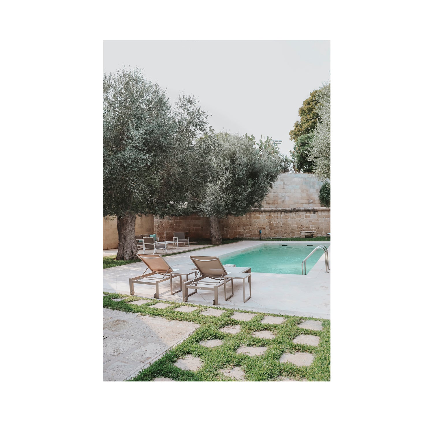 Olive Oasis