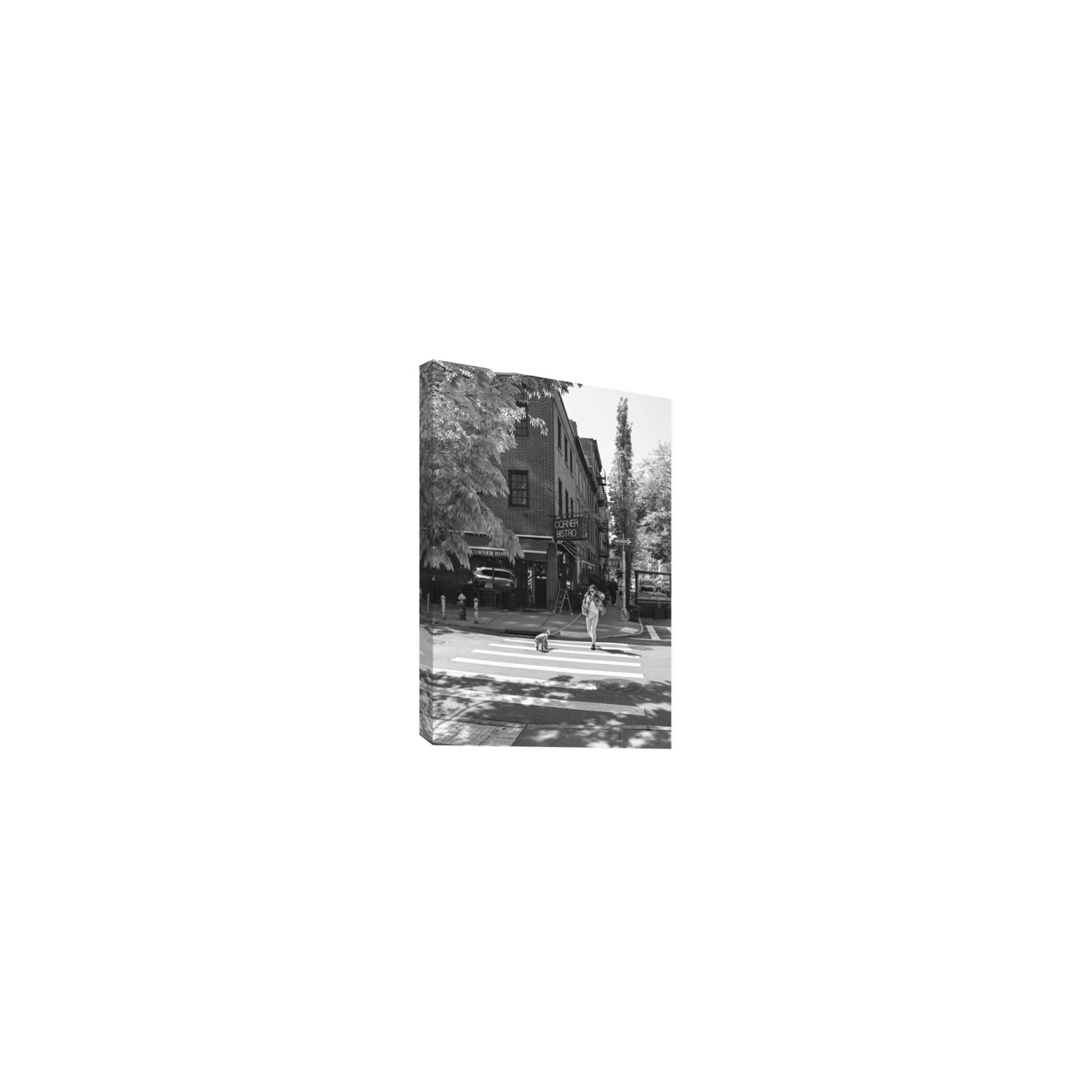 Sunlit Stroll New York NYC Black & White wall art Small stretched canvas print