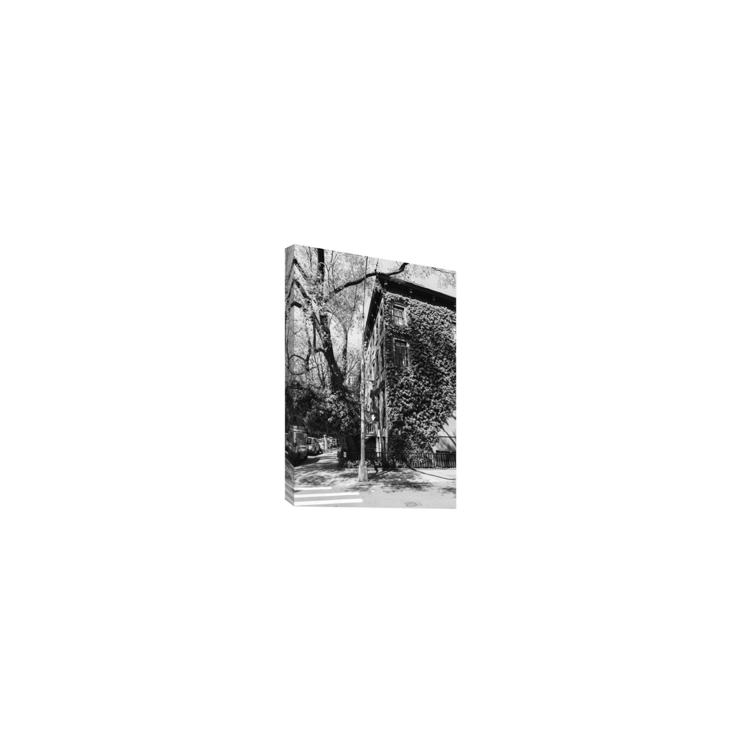 Vertical Garden New York NYC Black & White wall art Small stretched canvas print
