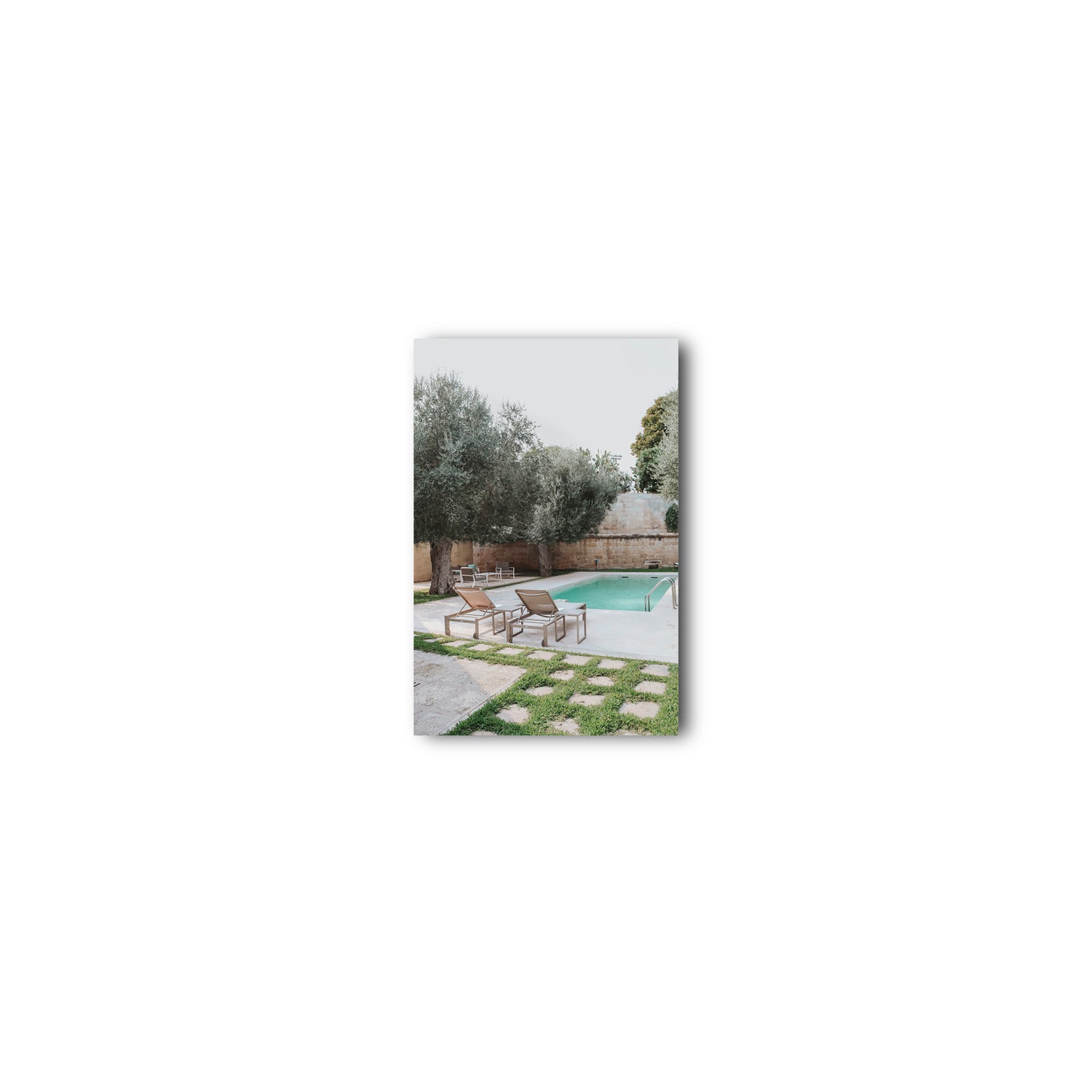 Olive Oasis
