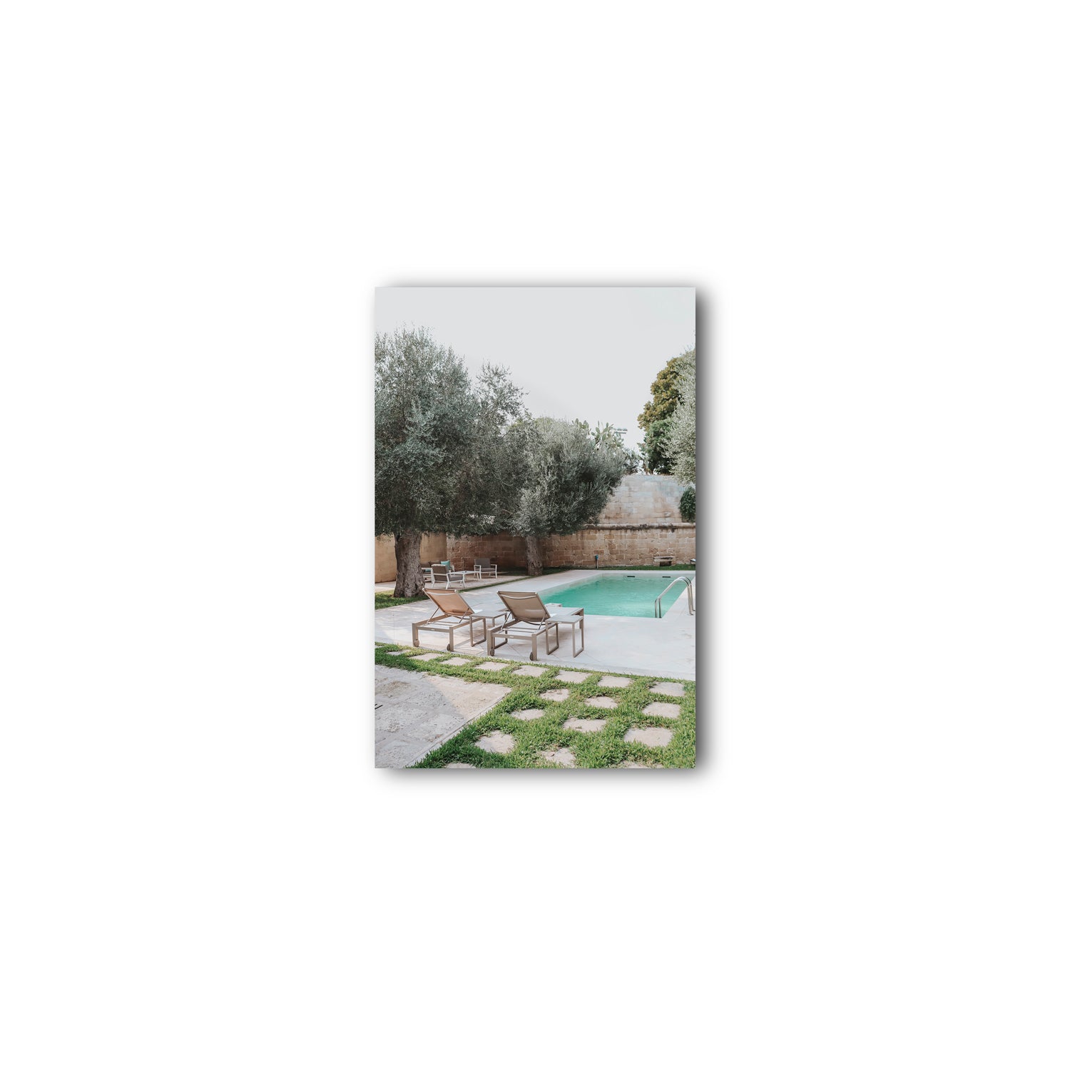 Olive Oasis