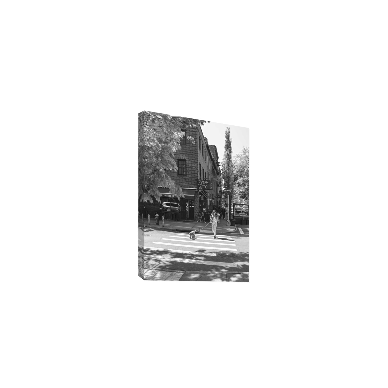 Sunlit Stroll New York NYC Black & White wall art Medium stretched canvas print