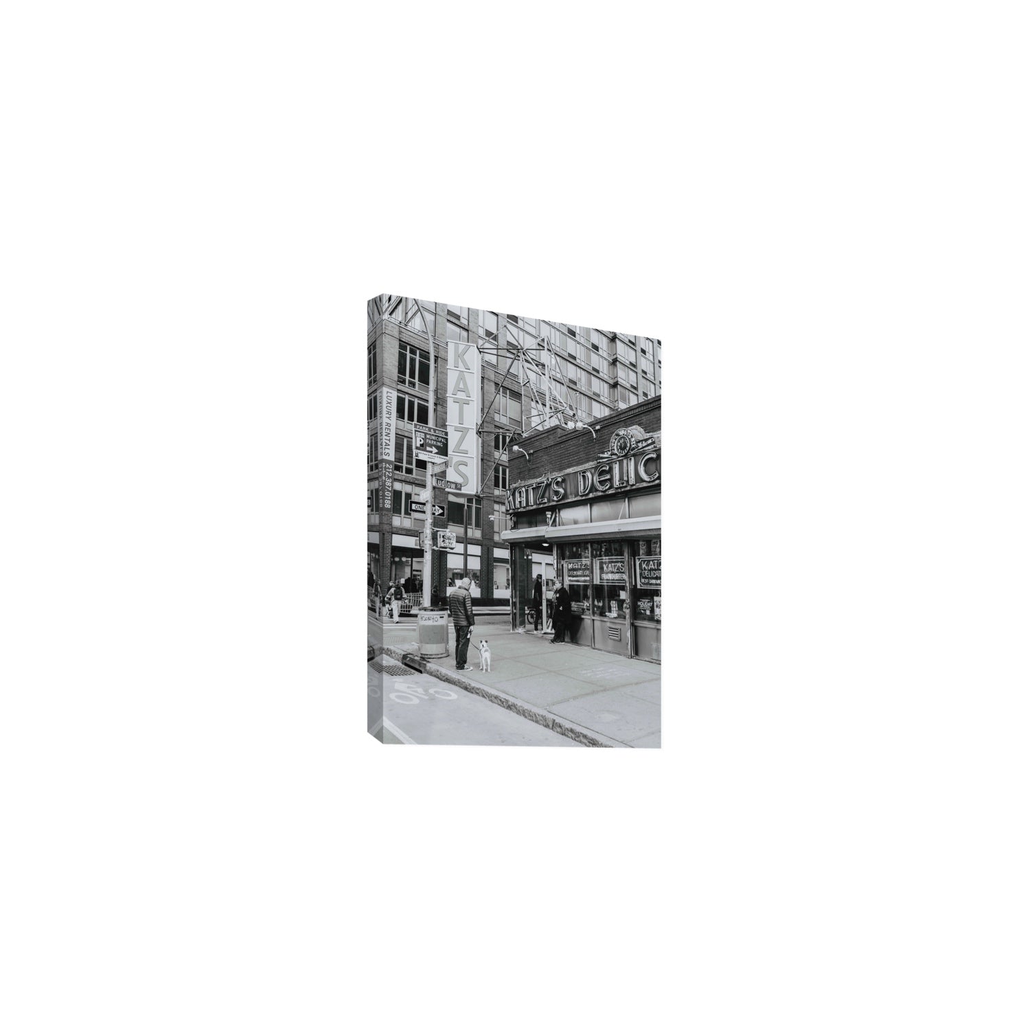 Graphite Gotham New York NYC Black & White wall art Medium stretched canvas print