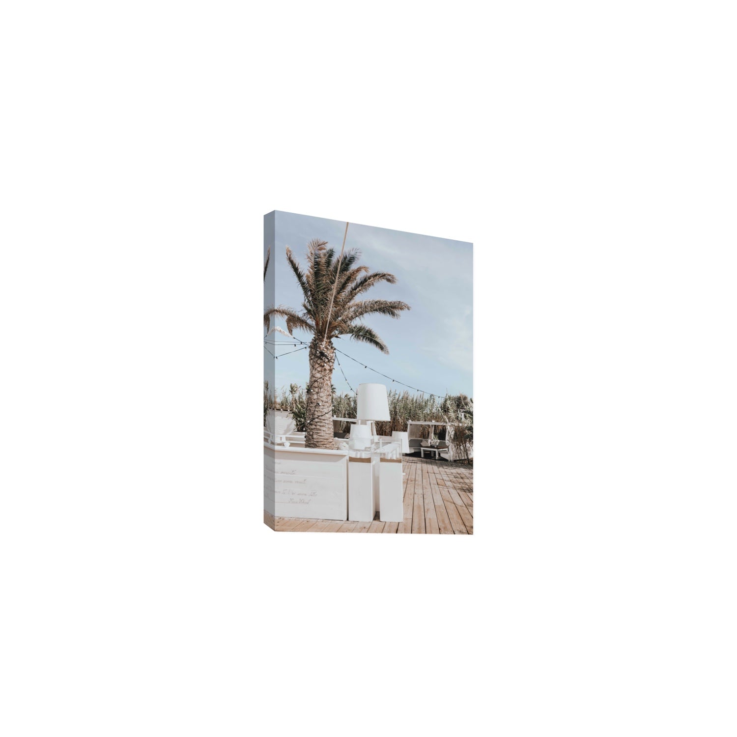 Seabreeze Palm Puglia coastal beach wall art Medium stretched canvas print