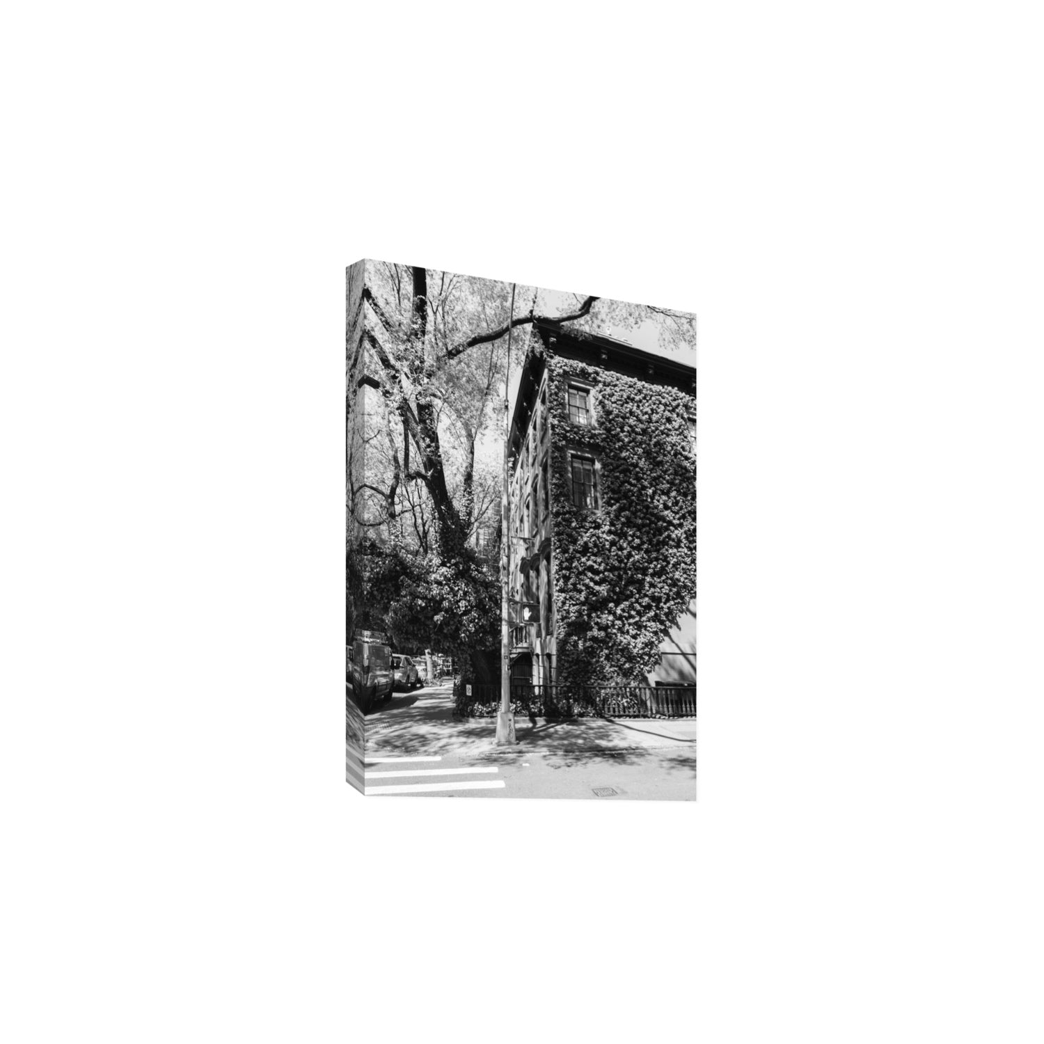 Vertical Garden New York NYC Black & White wall art Large stretched canvas print