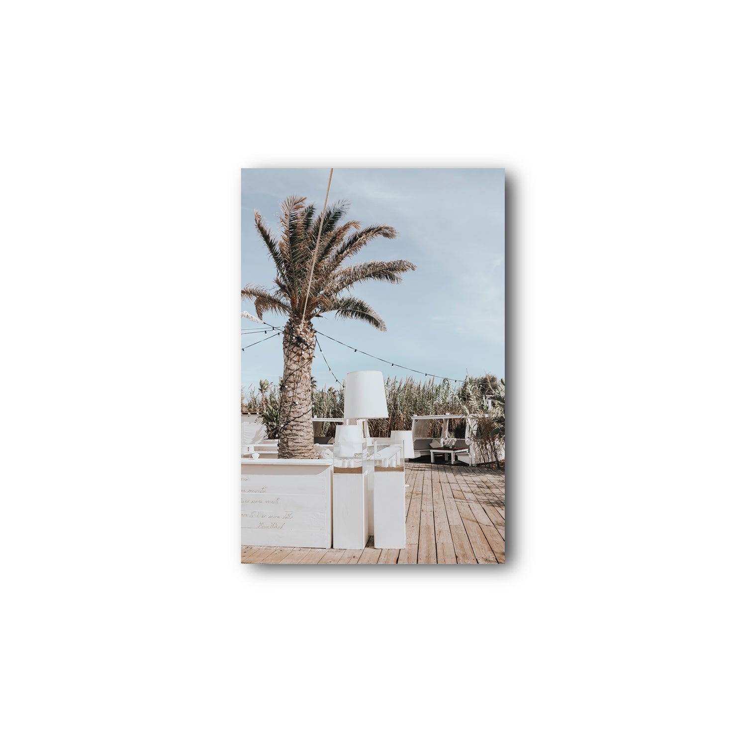 Seabreeze Palm