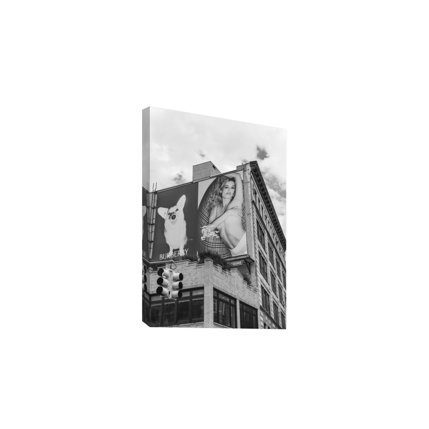 Dynamic Duo fine art print, New York, United States, Large, Stretched Canvas