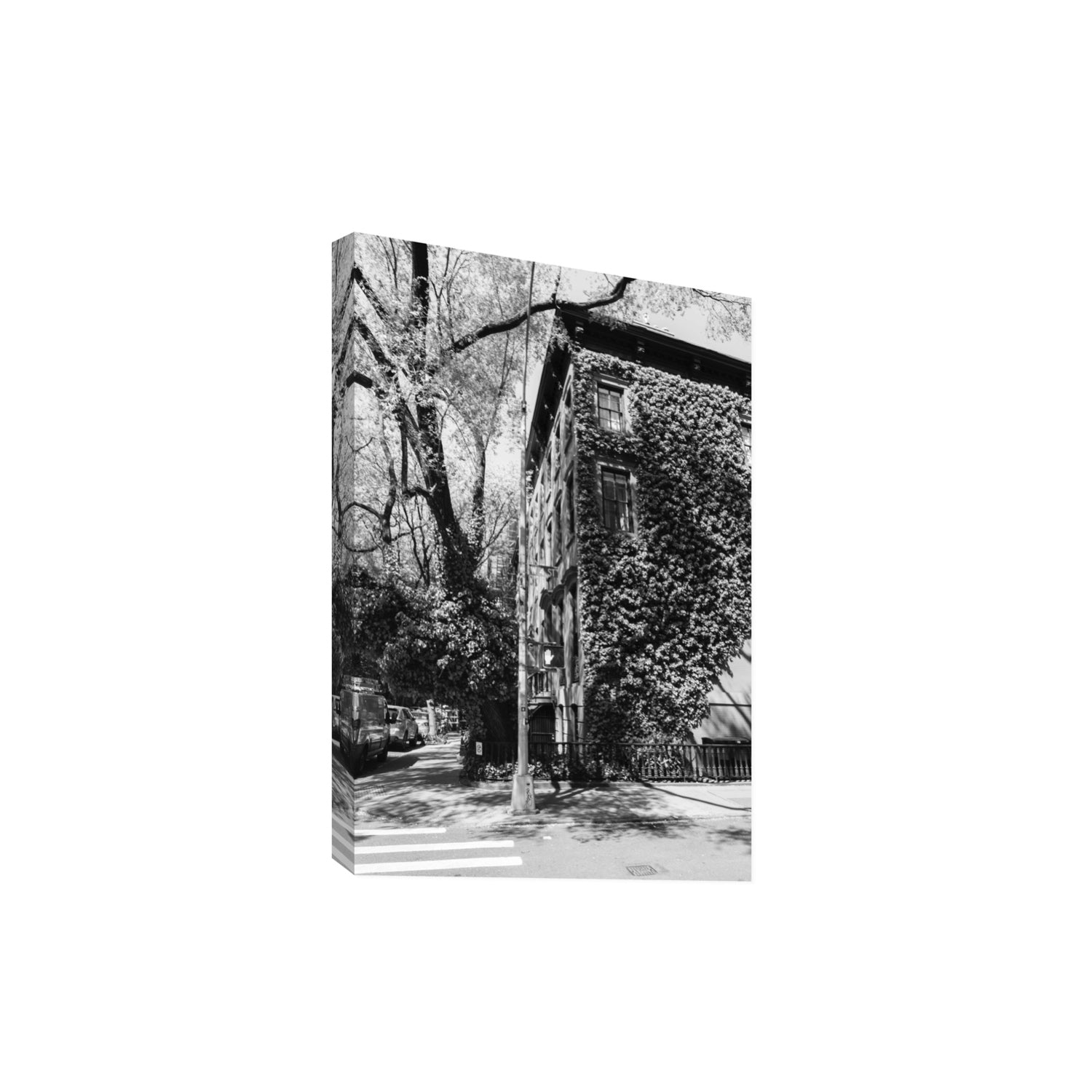 Vertical Garden New York NYC Black & White wall art Extra Large stretched canvas print