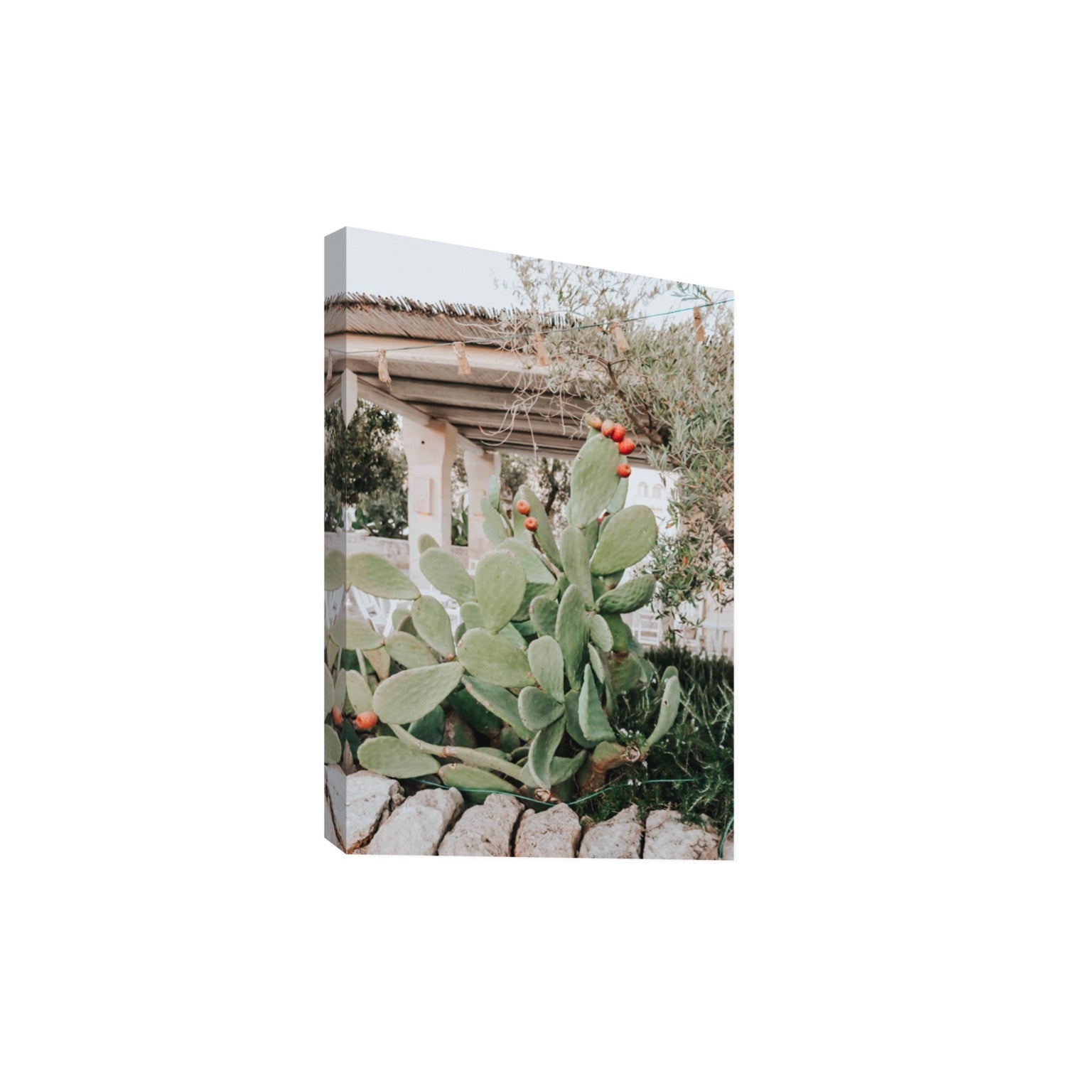 Opuntia Beauty Puglia wall art Extra Large stretched canvas print