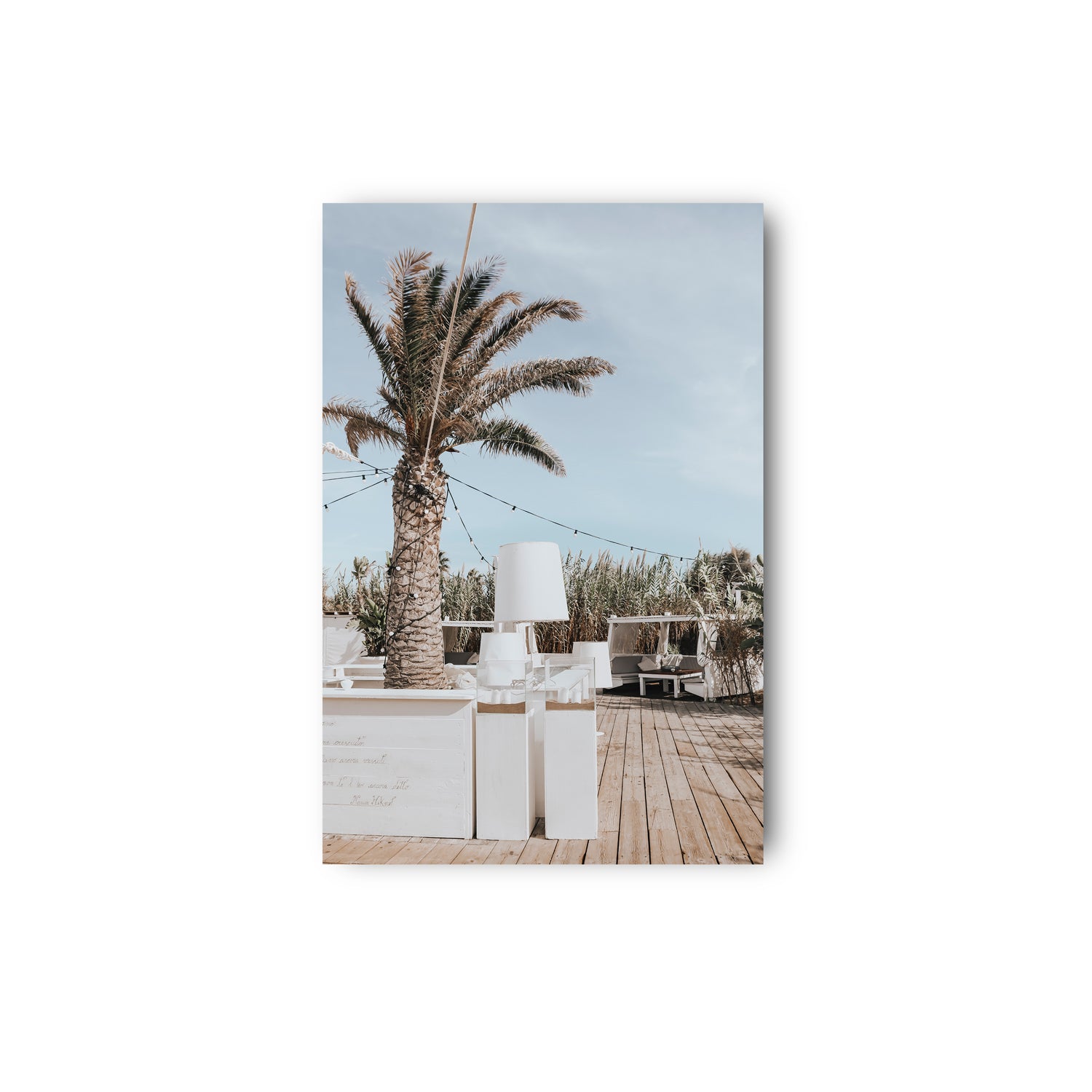 Seabreeze Palm