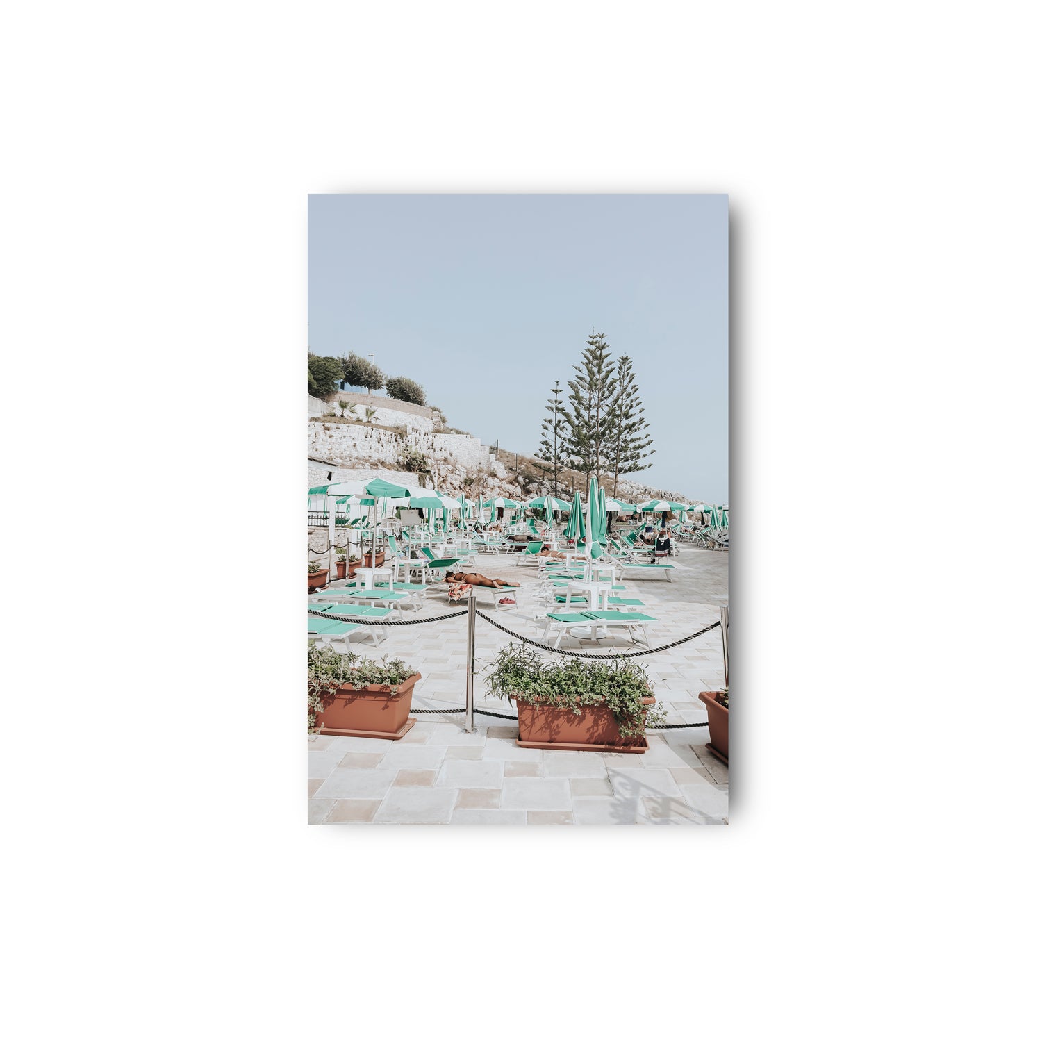 Siesta on The Terrace