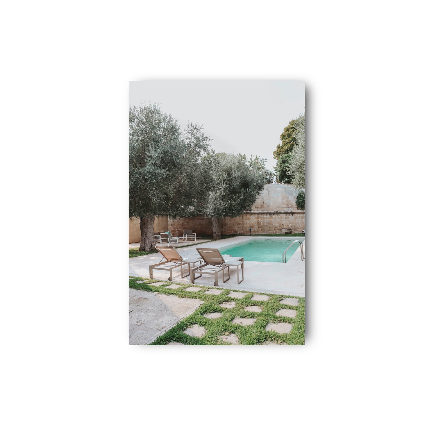 Olive Oasis