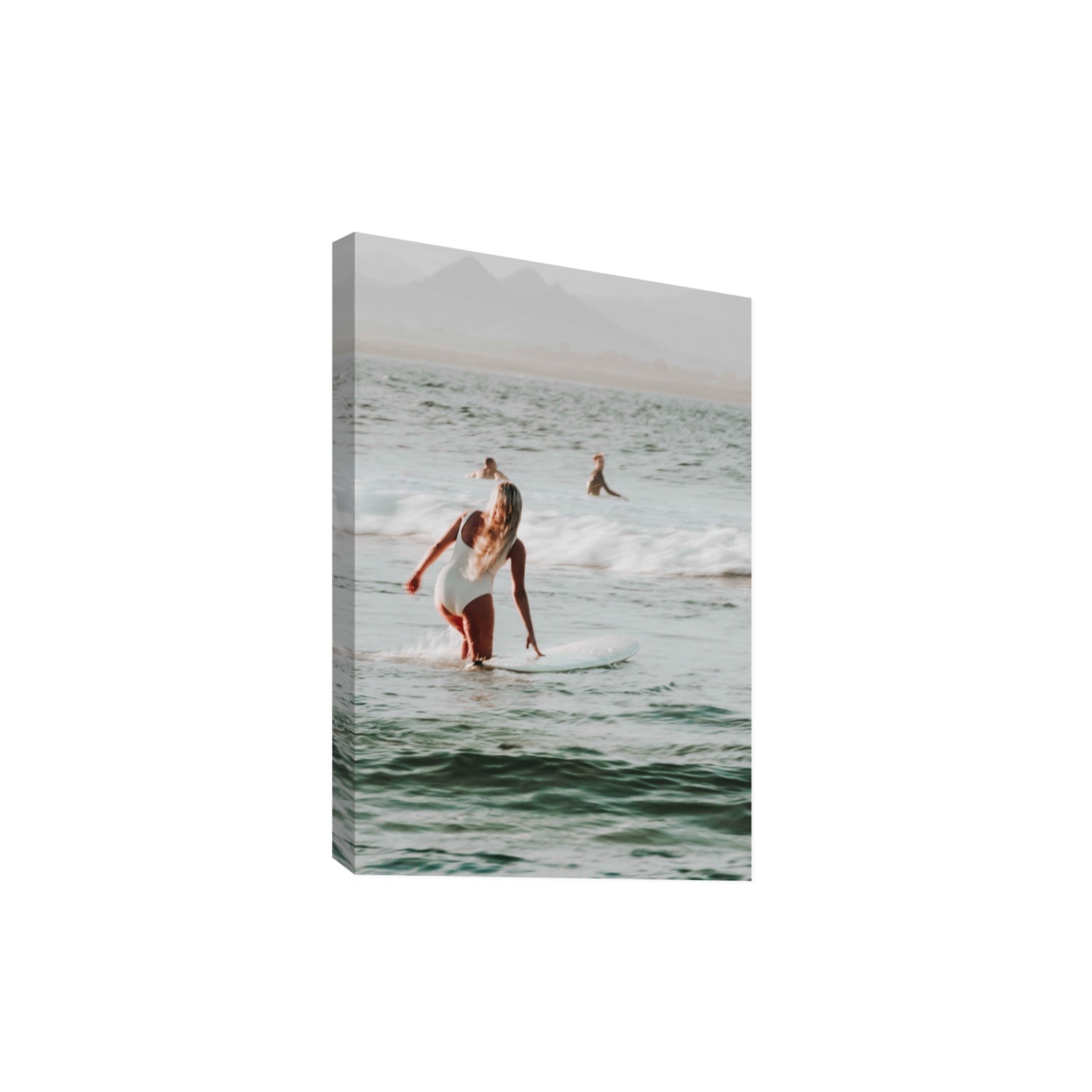 Blondie fine art print, Byron Bay, Australia, Extra Large, Stretched Canvas