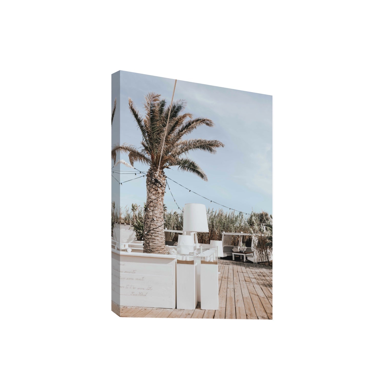 Seabreeze Palm Puglia coastal beach wall art Giant stretched canvas print