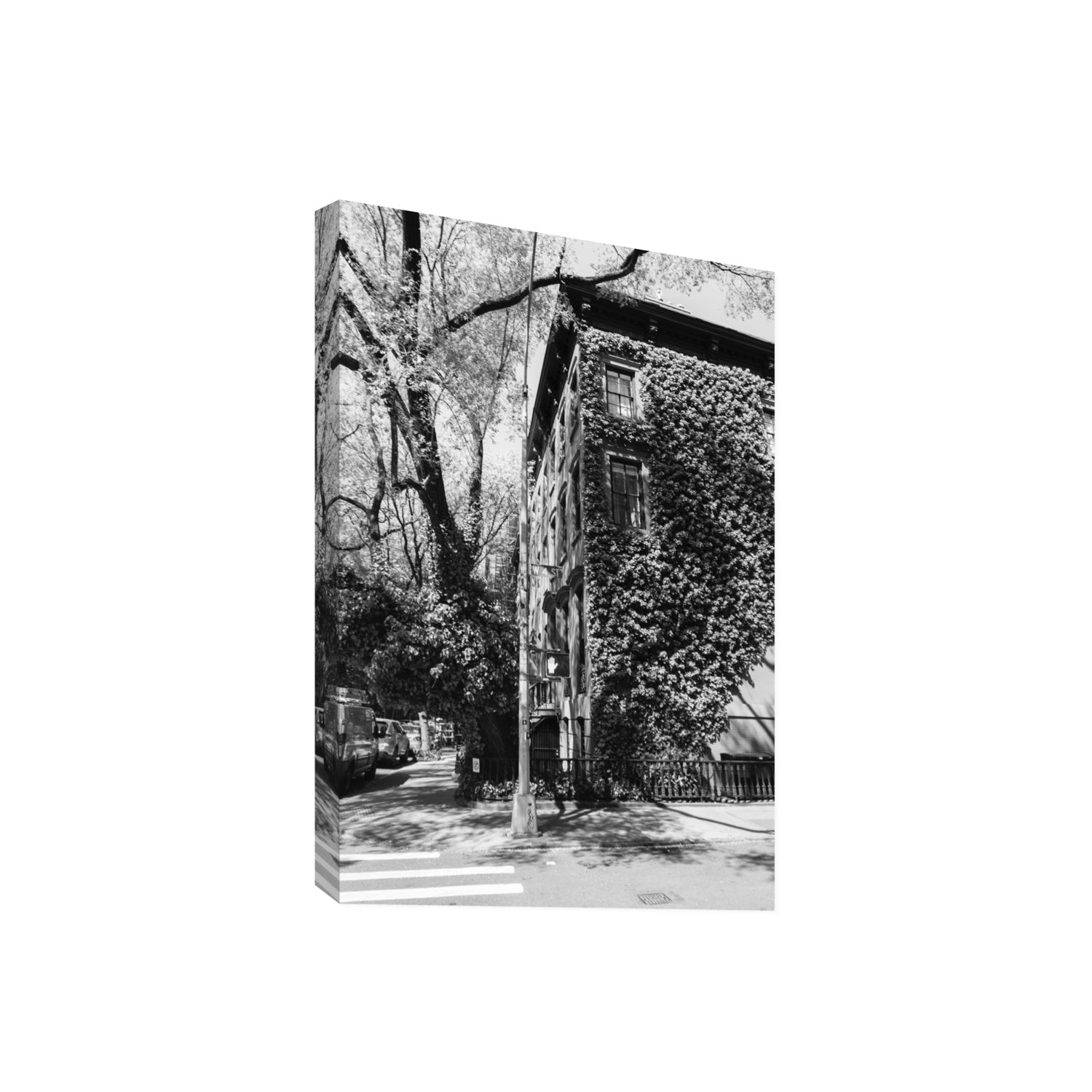 Vertical Garden New York NYC Black & White wall art Giant stretched canvas print
