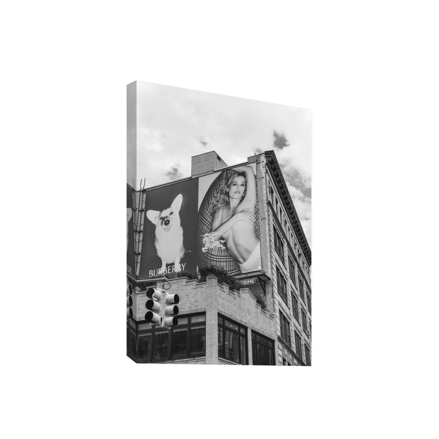 Dynamic Duo fine art print, New York, United States, Giant, Stretched Canvas