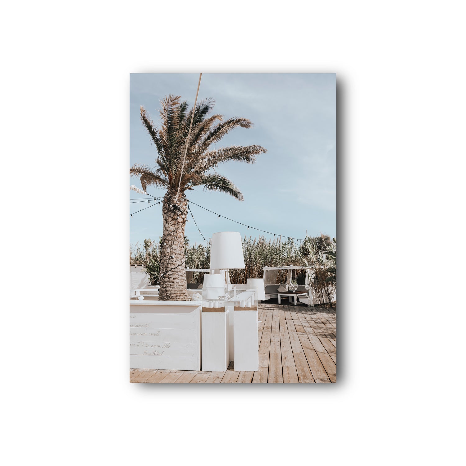 Seabreeze Palm