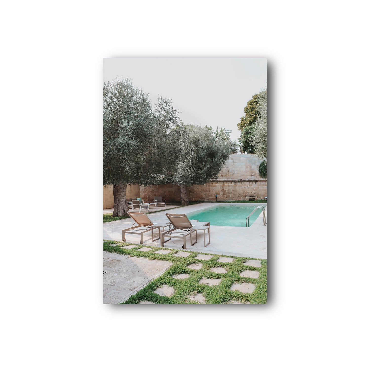 Olive Oasis