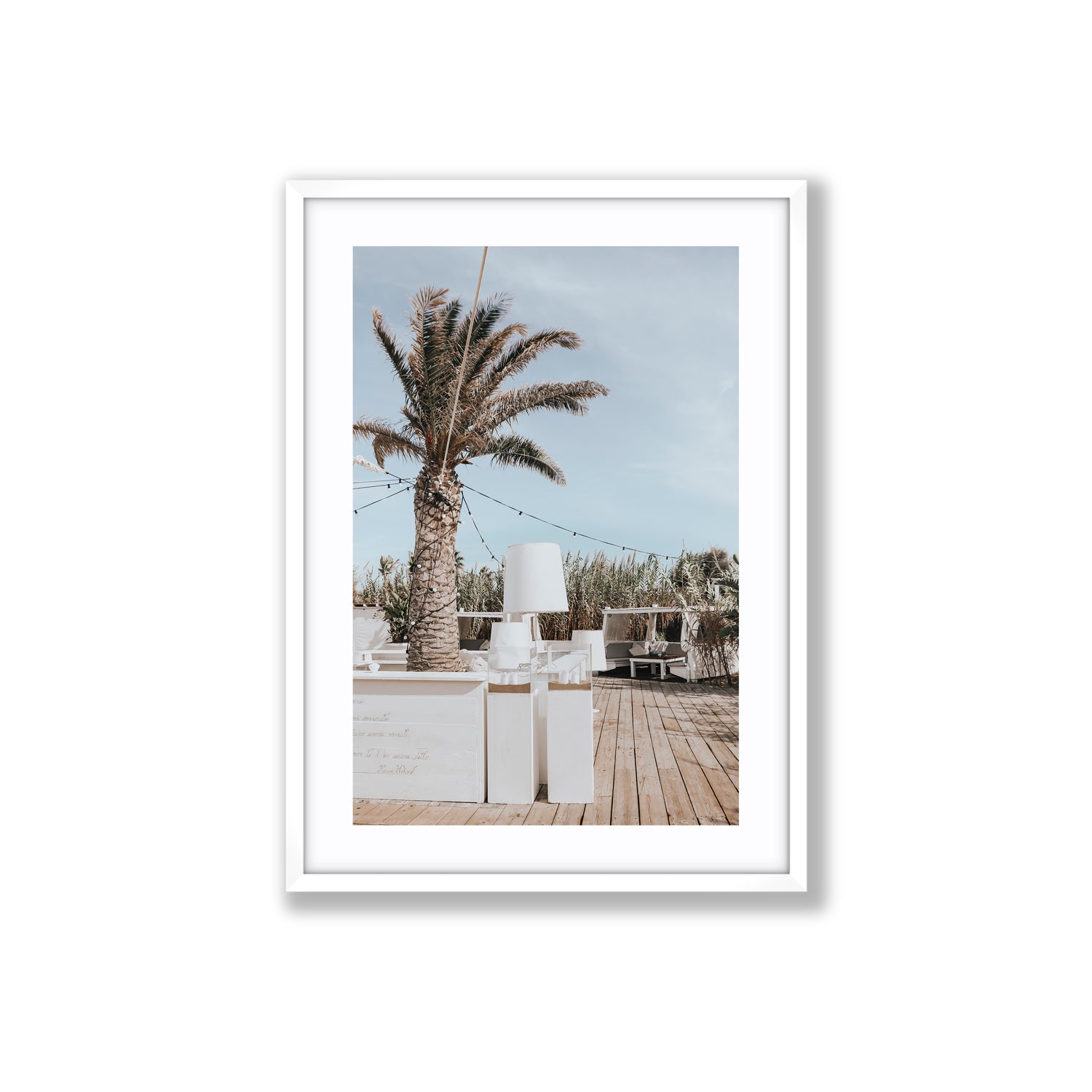 Seabreeze Palm