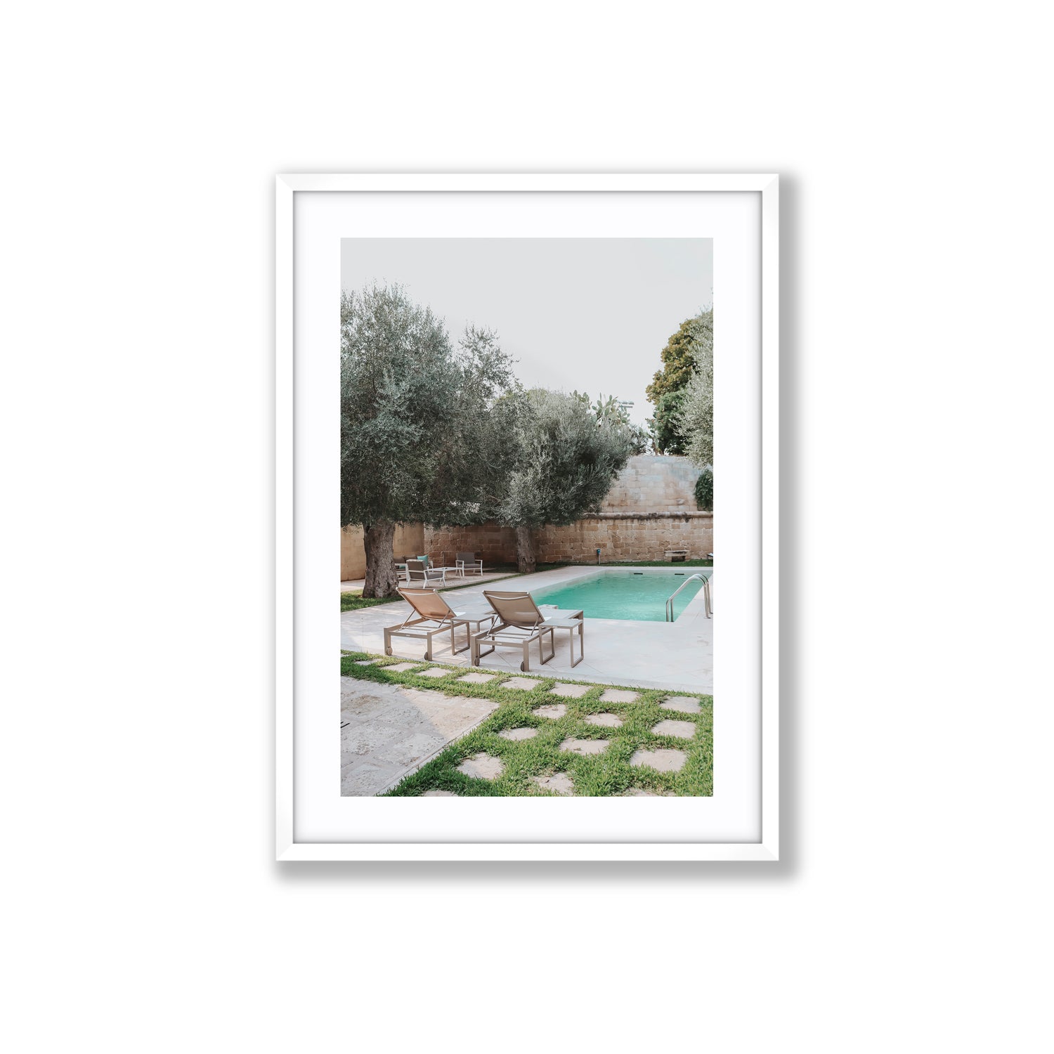 Olive Oasis