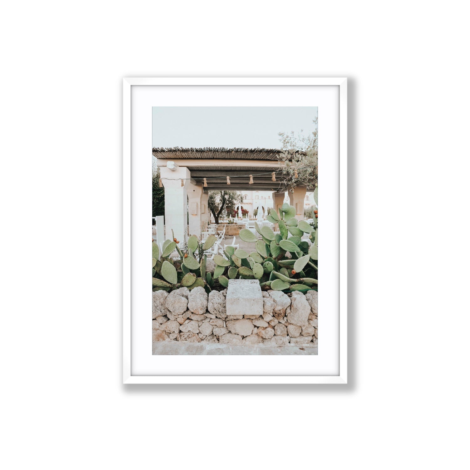 Puglia Flora Puglia Borgo Egnazia Mediterranean wall art Large fine art print in white frame with matboard