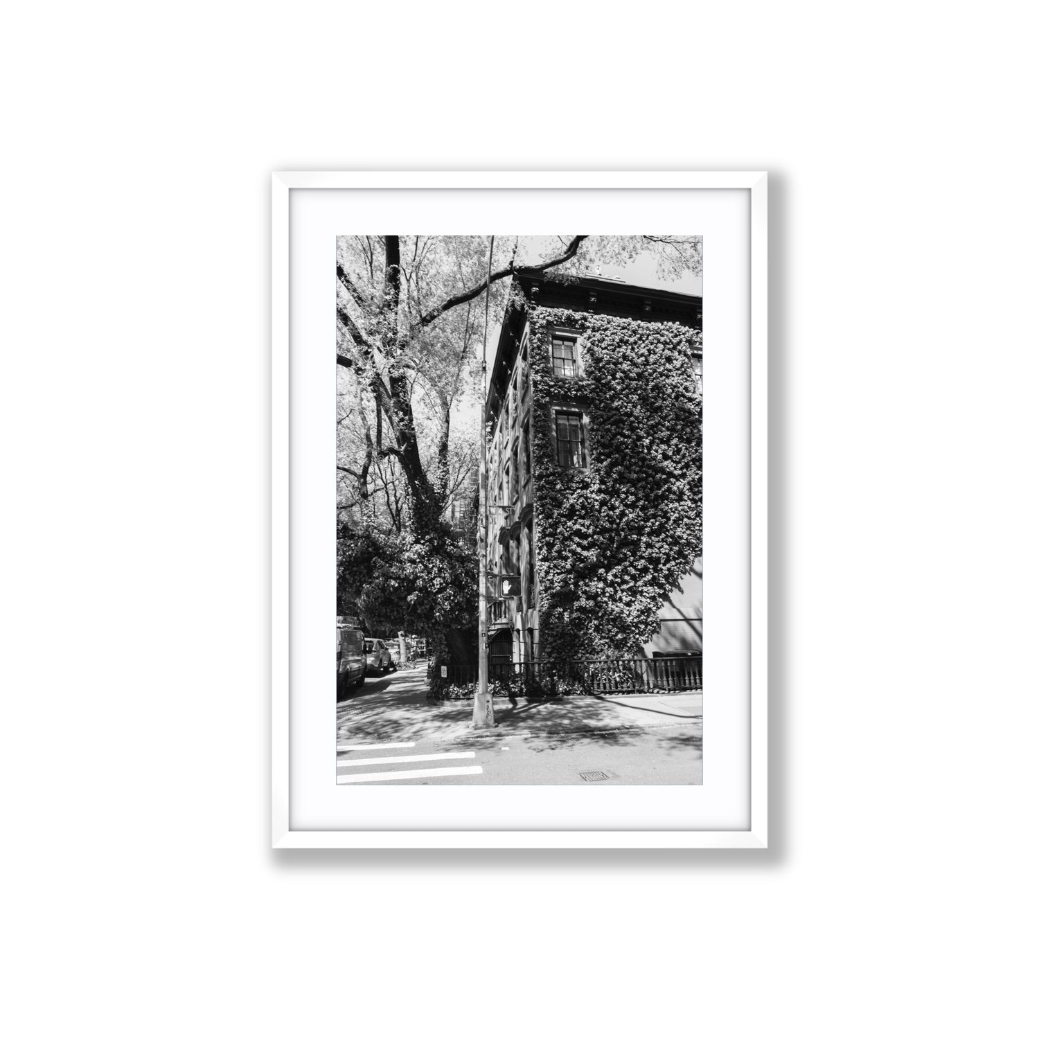 Vertical Garden New York NYC Black & White wall art Large fine art print in white frame with matboard