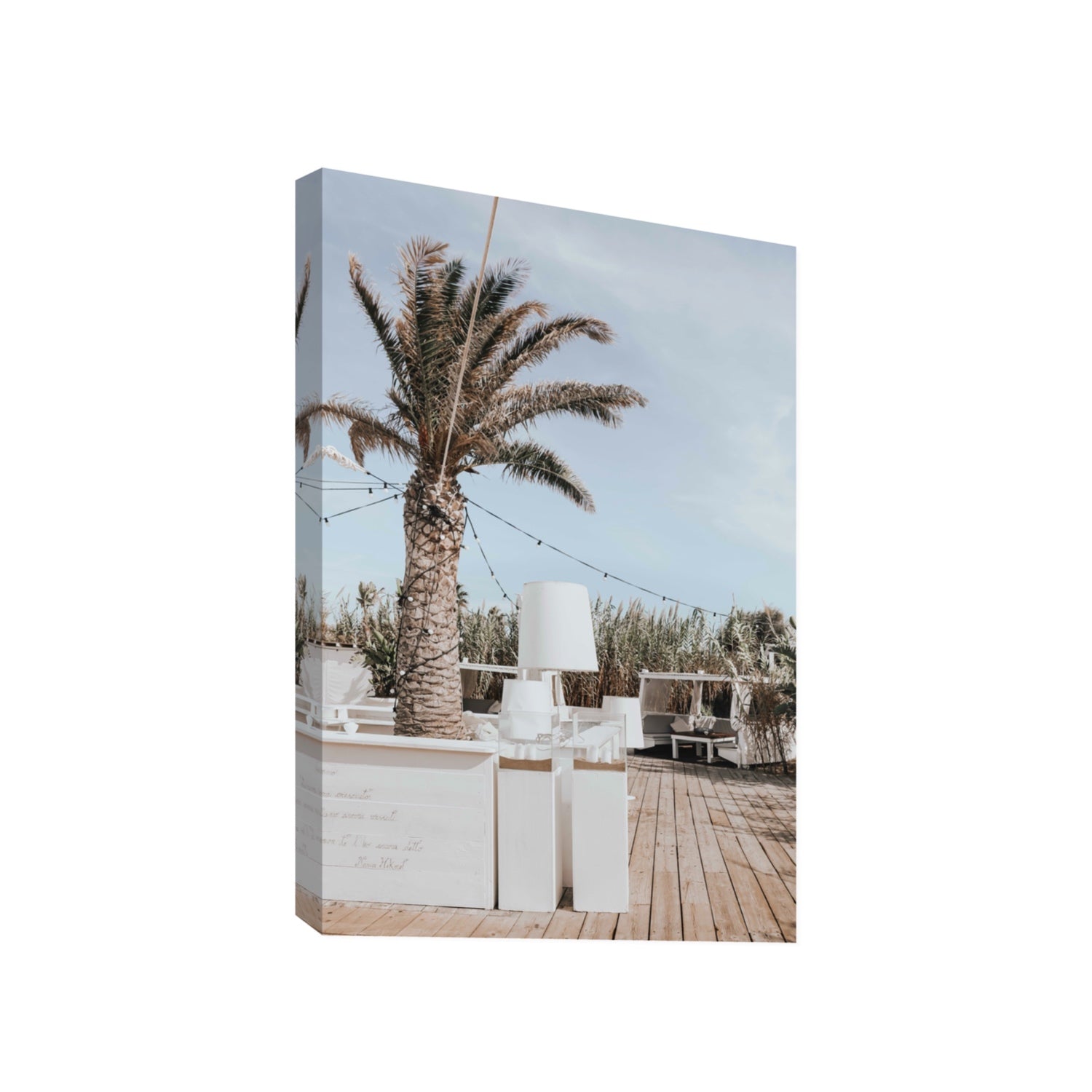 Seabreeze Palm Puglia coastal beach wall art Gallery stretched canvas print