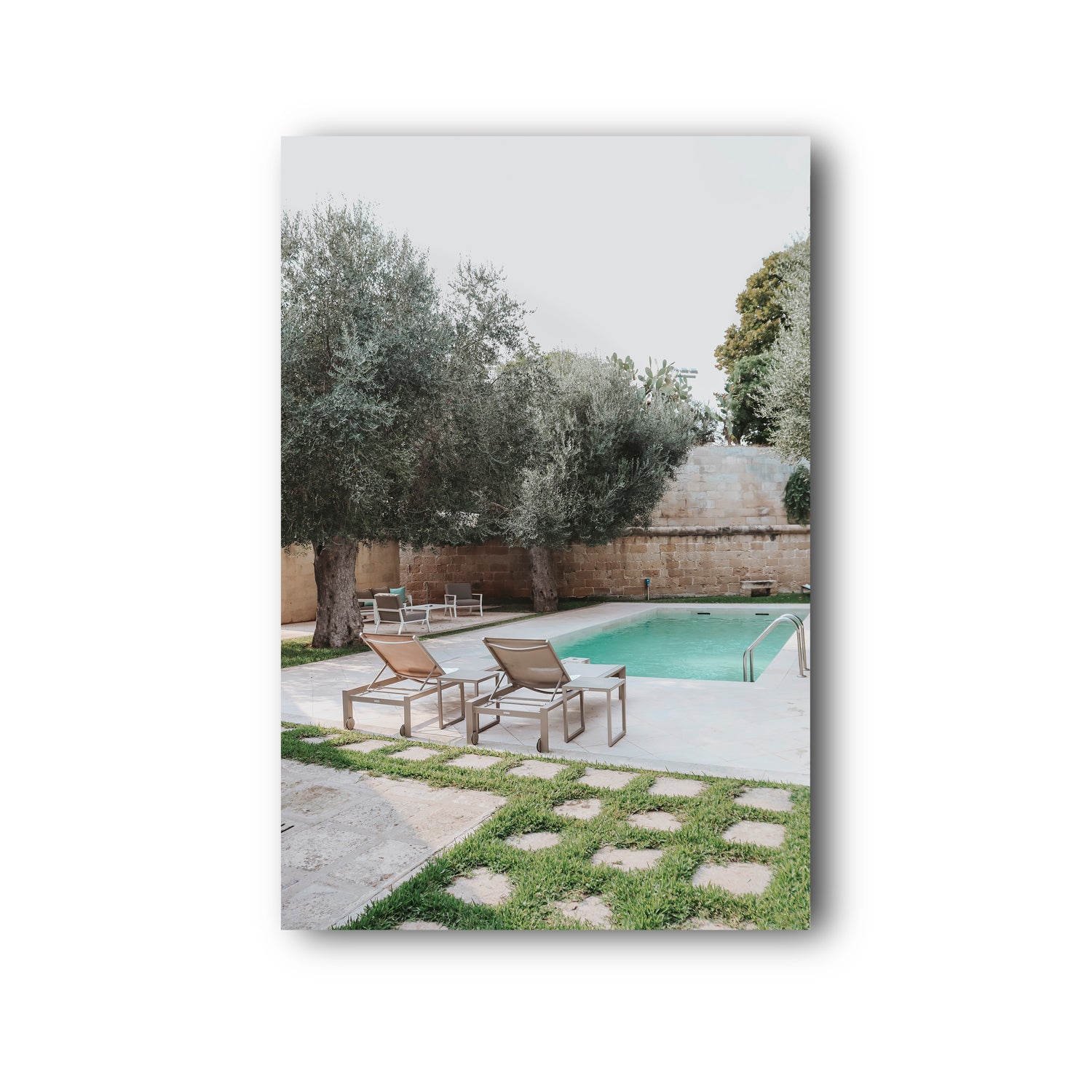 Olive Oasis