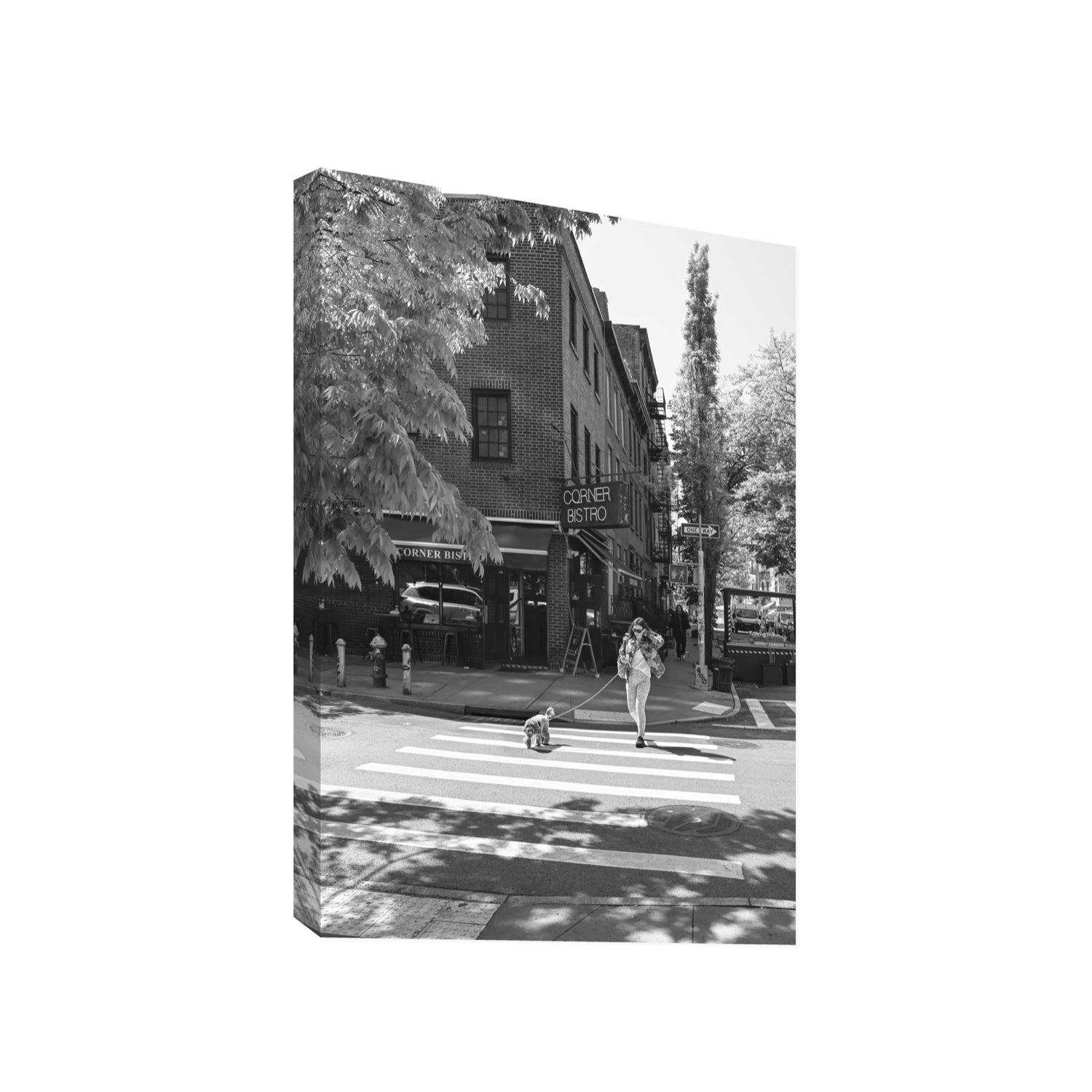 Sunlit Stroll New York NYC Black & White wall art Gallery stretched canvas print