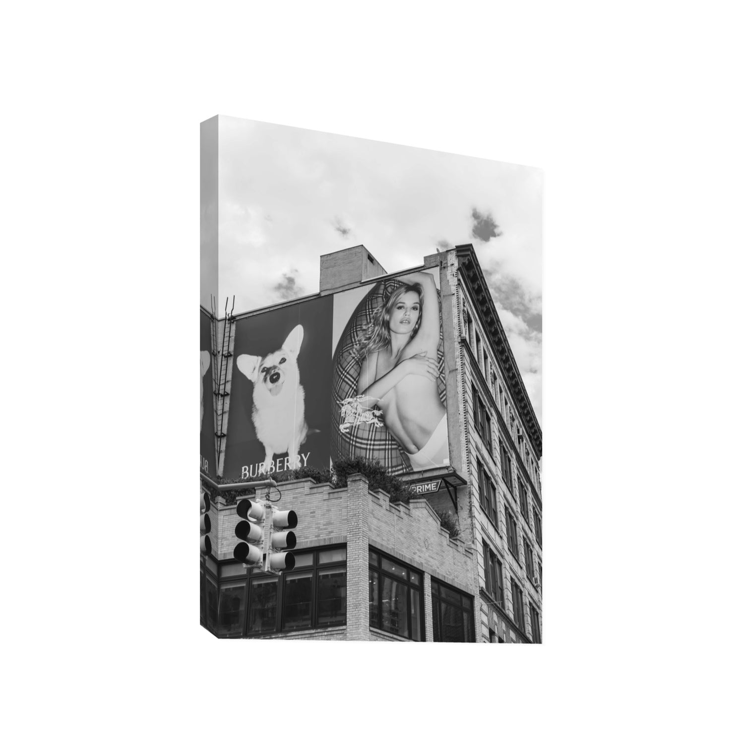 Dynamic Duo fine art print, New York, United States, Gallery, Stretched Canvas