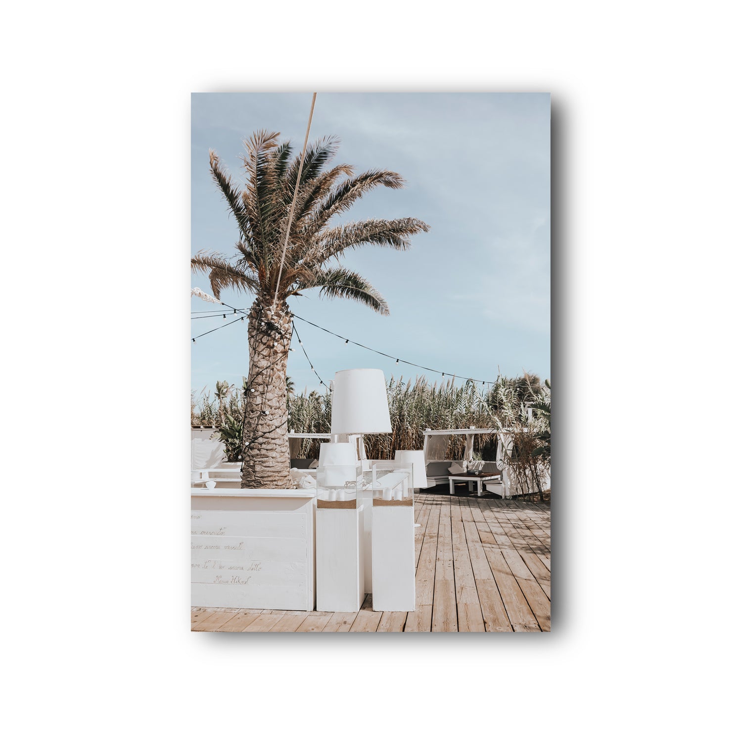 Seabreeze Palm