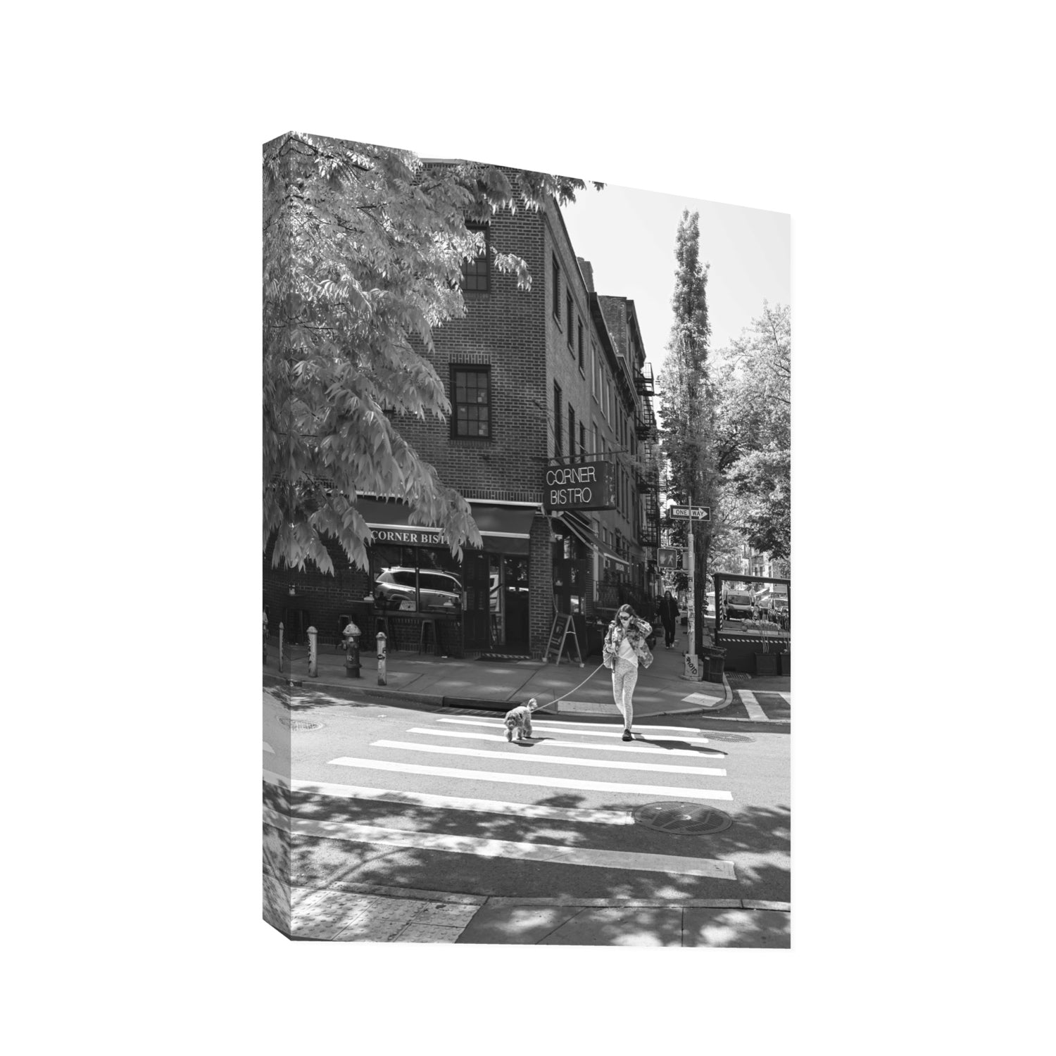Sunlit Stroll New York NYC Black & White wall art Statement stretched canvas print