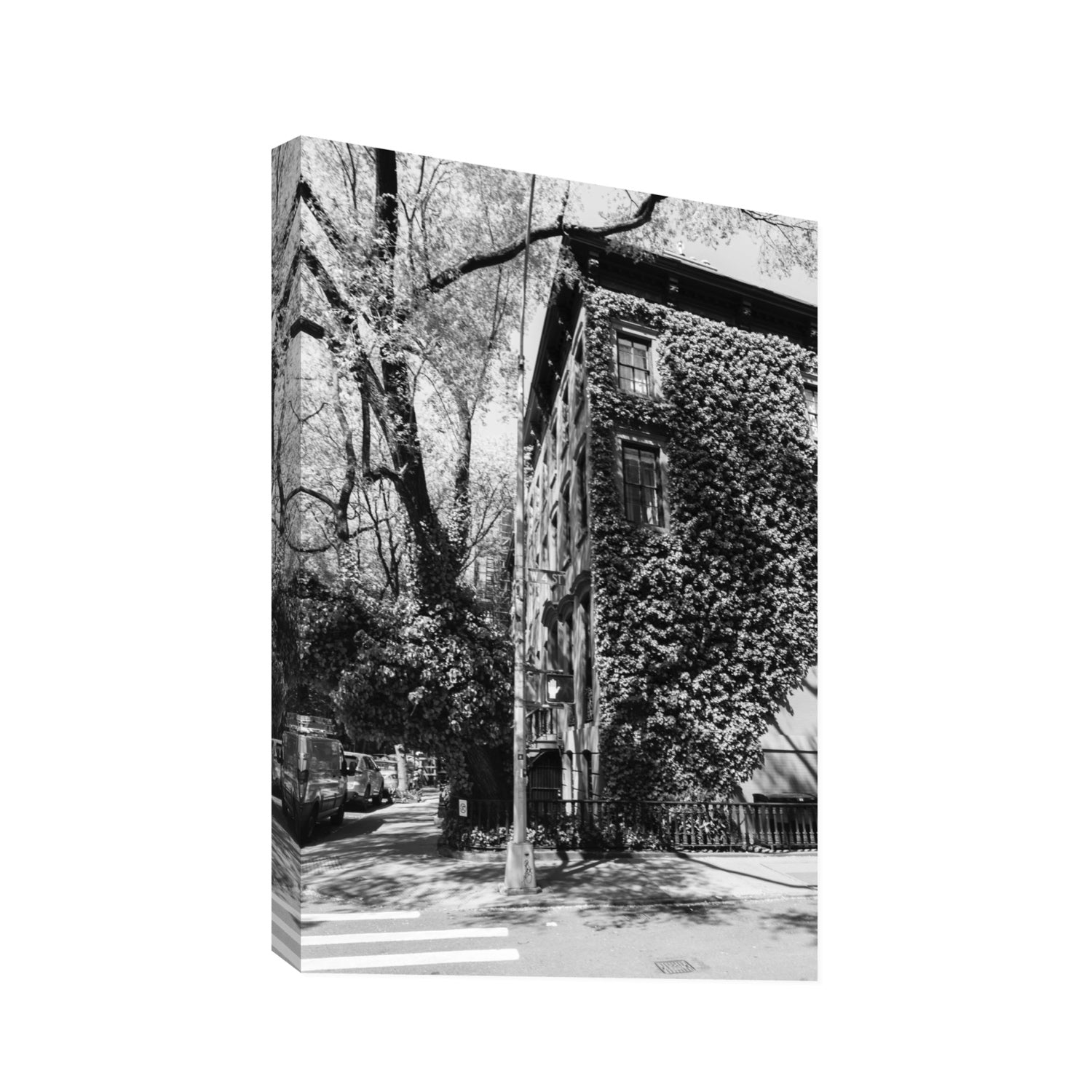 Vertical Garden New York NYC Black & White wall art Statement stretched canvas print