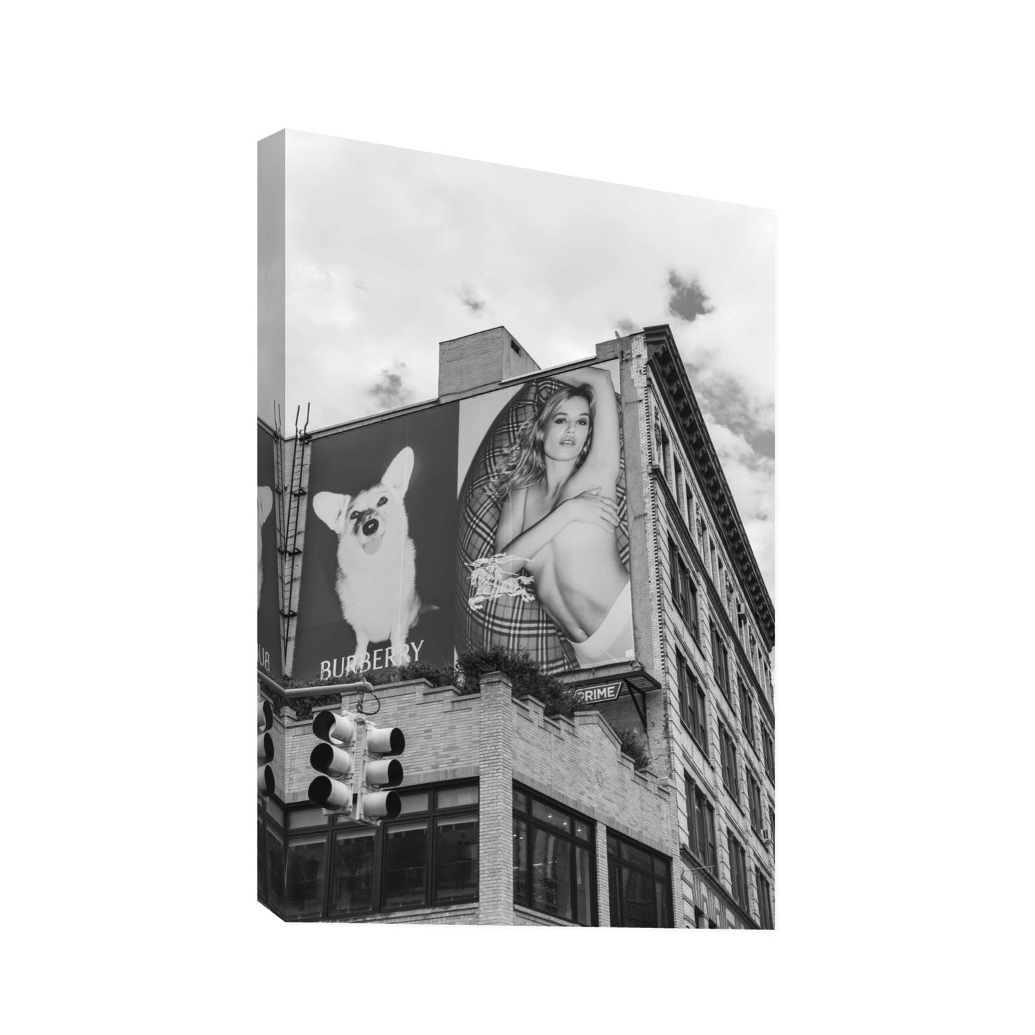 Dynamic Duo fine art print, New York, United States, Statement, Stretched Canvas
