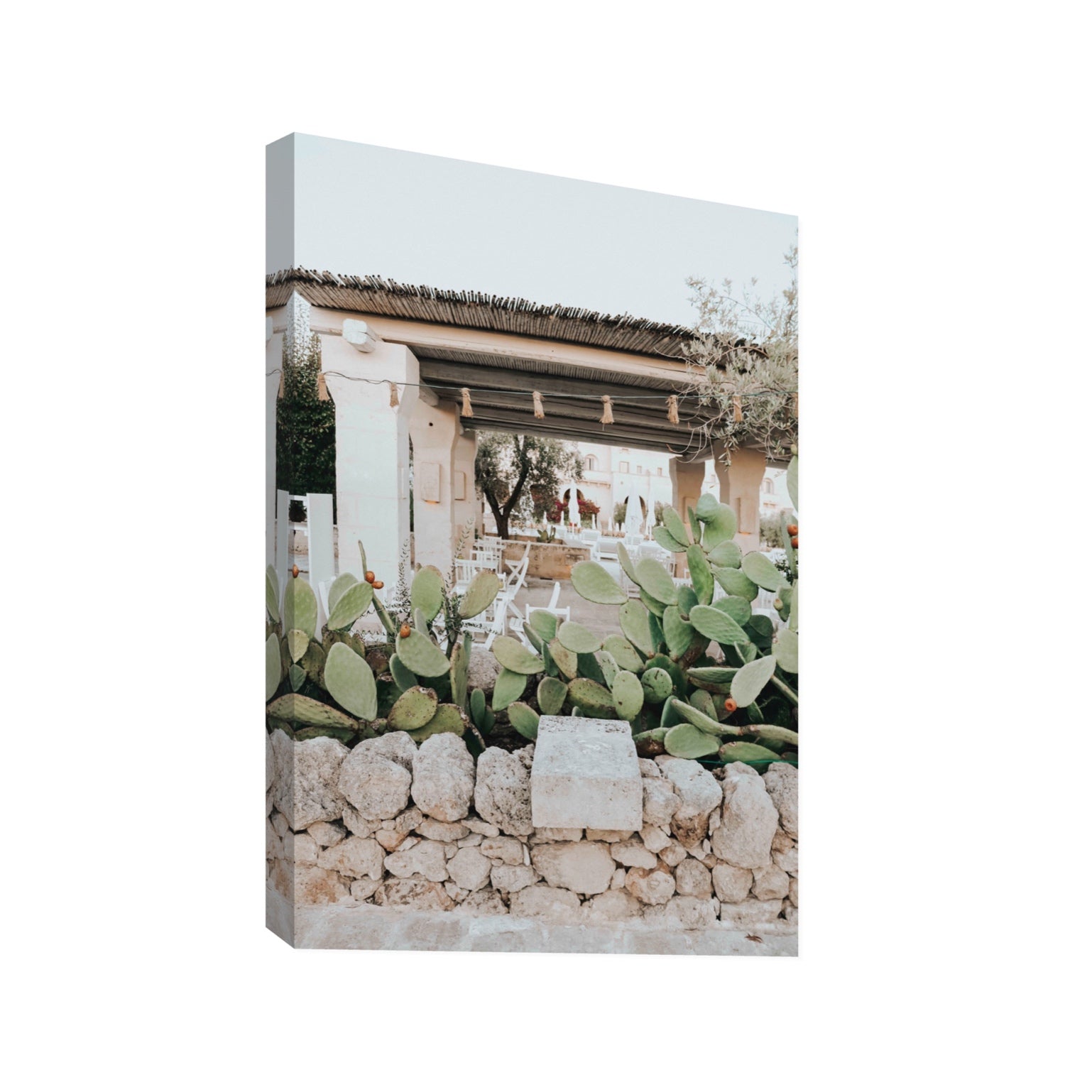 Puglia Flora Puglia Borgo Egnazia Mediterranean wall art Statement stretched canvas print
