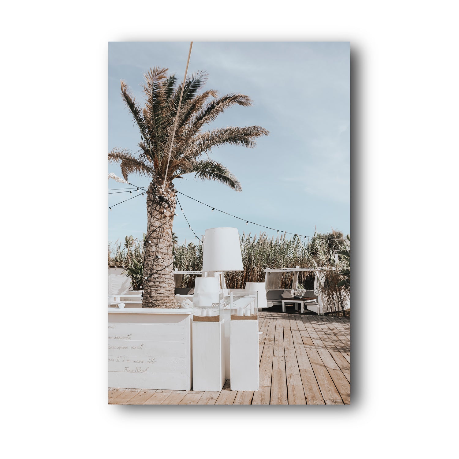 Seabreeze Palm