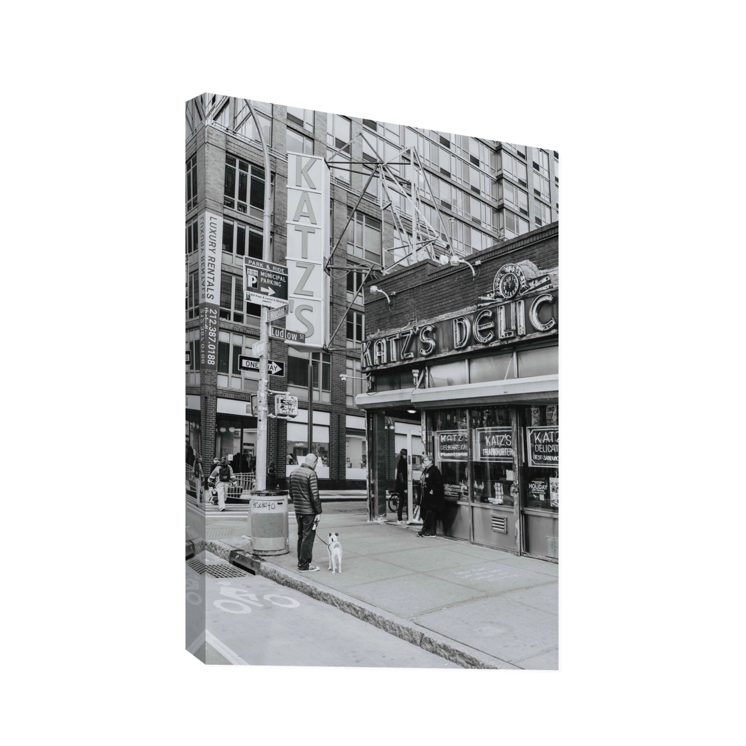 Graphite Gotham New York NYC Black & White wall art Statement stretched canvas print