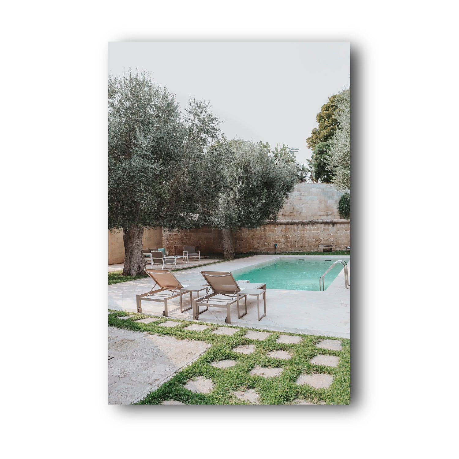 Olive Oasis