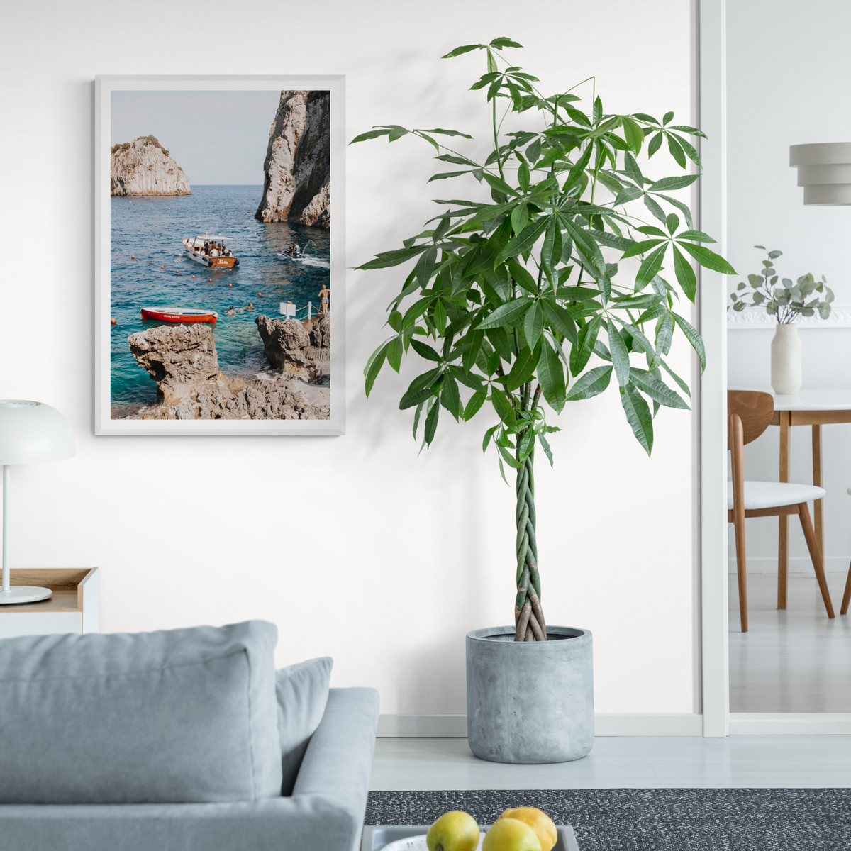 Set Sail Capri Sailboat coastal wall art framed print styled in a room