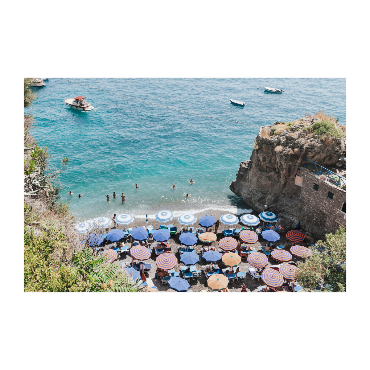 The Cove