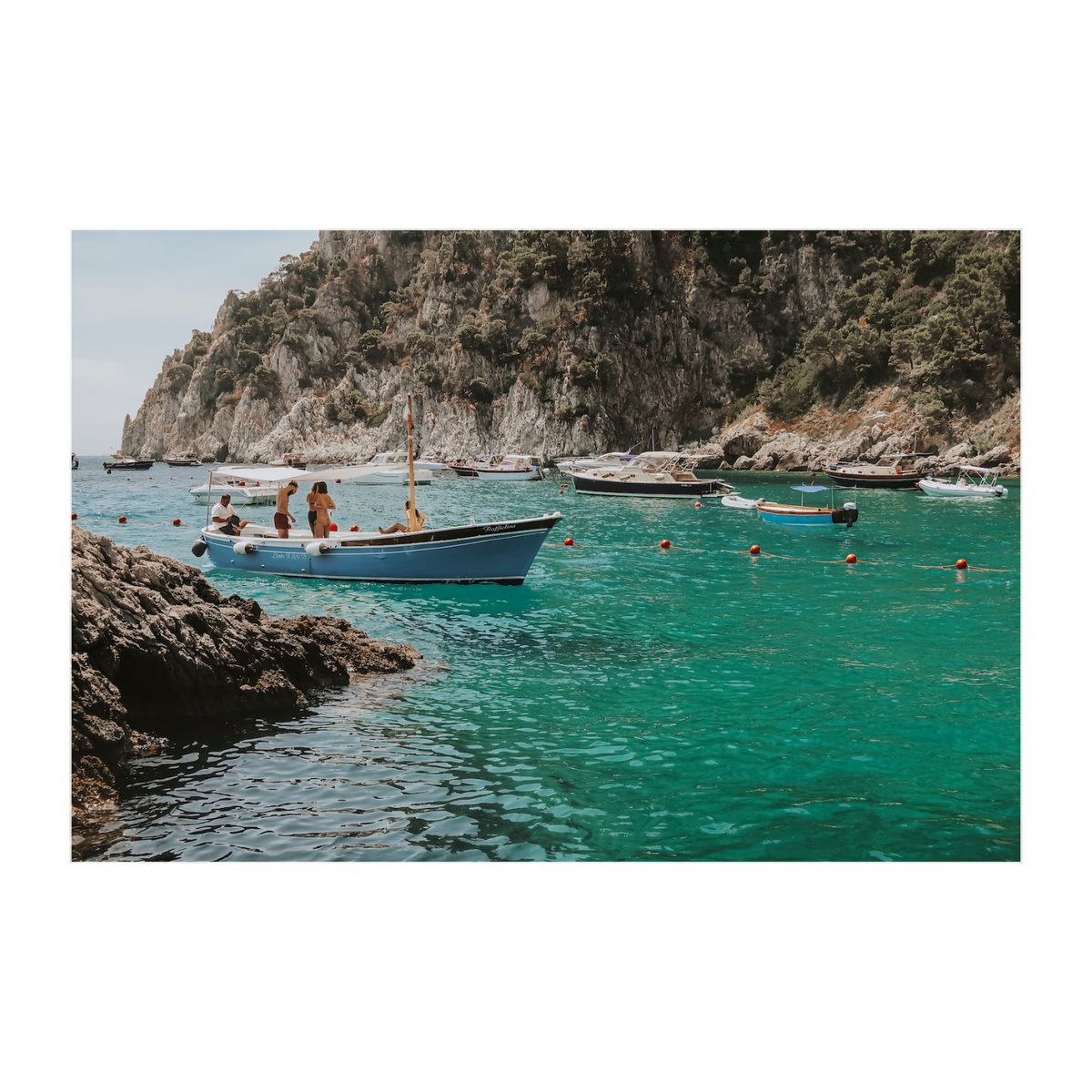 Cozy Cove