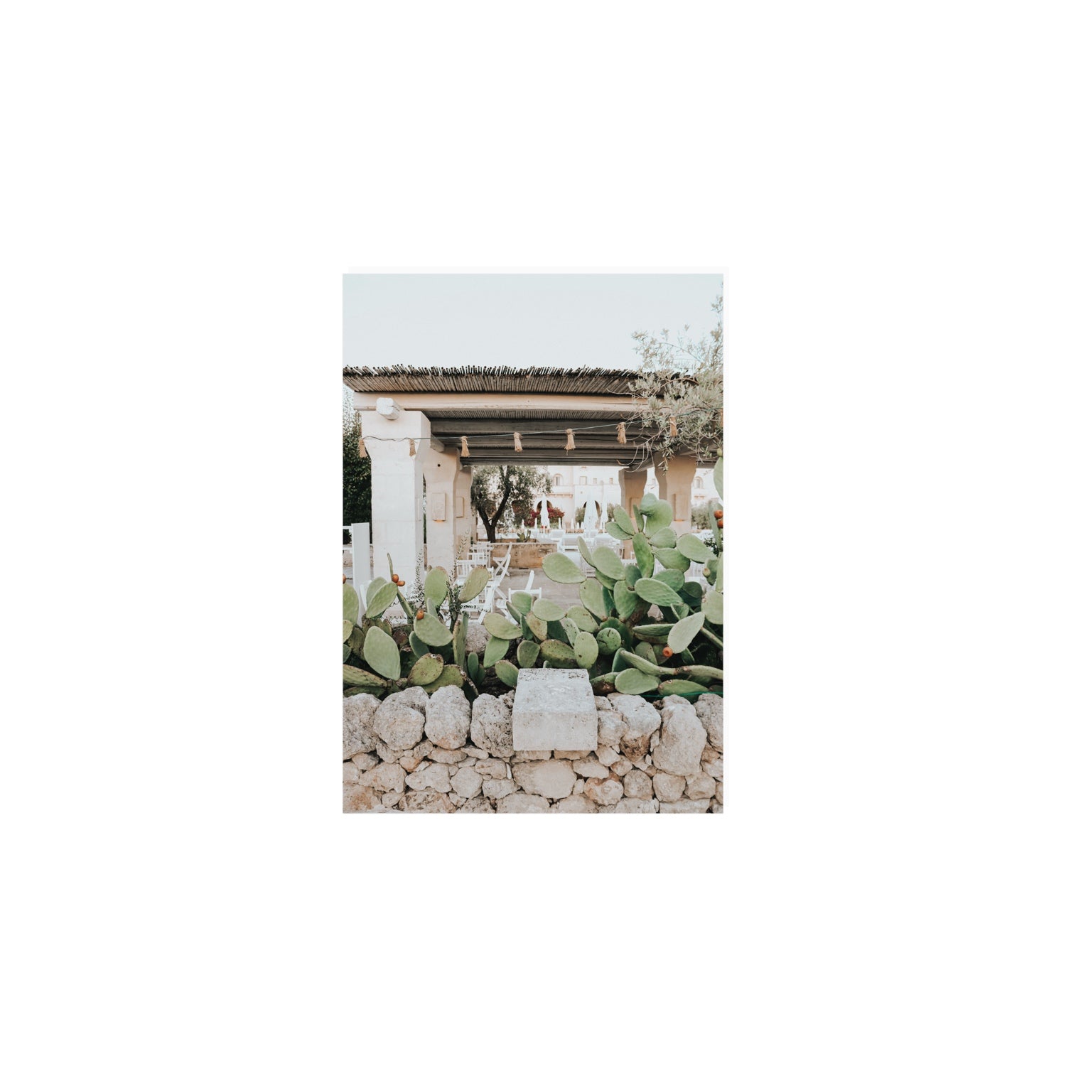 Puglia Flora Puglia Borgo Egnazia Mediterranean wall art A5, 21 x 14.8 cm unframed fine art canvas